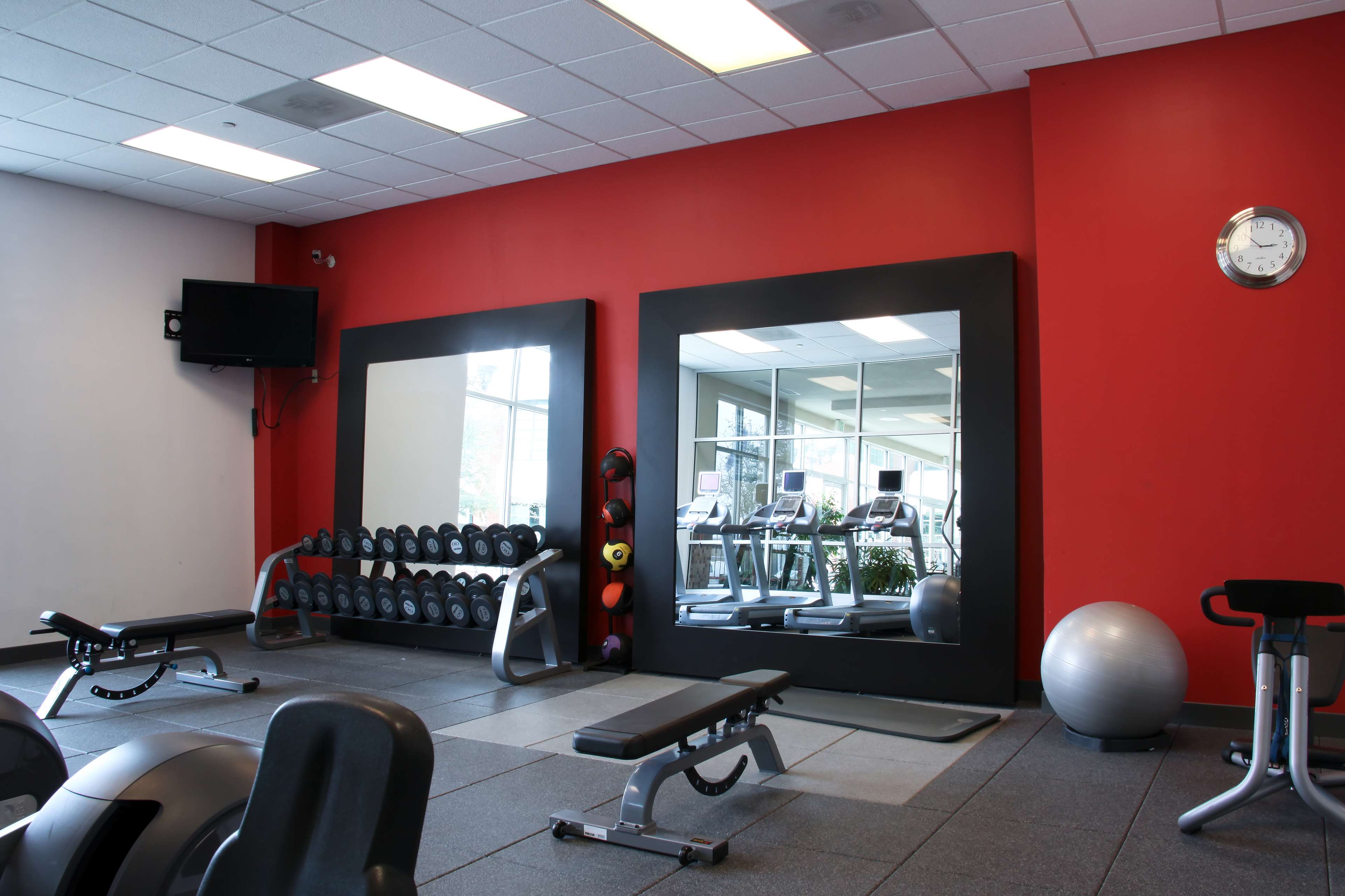 Health club  fitness center  gym