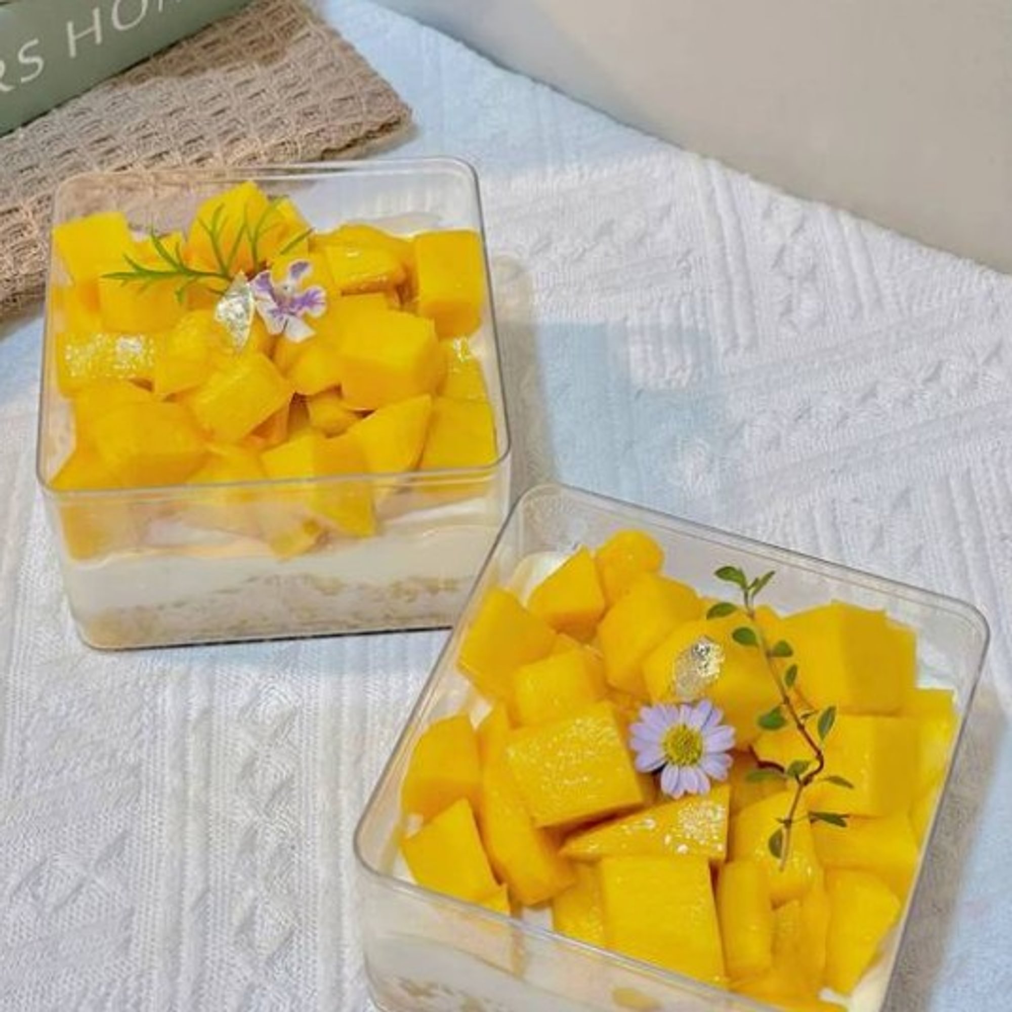 Mango Cheese Pie Seasonal
