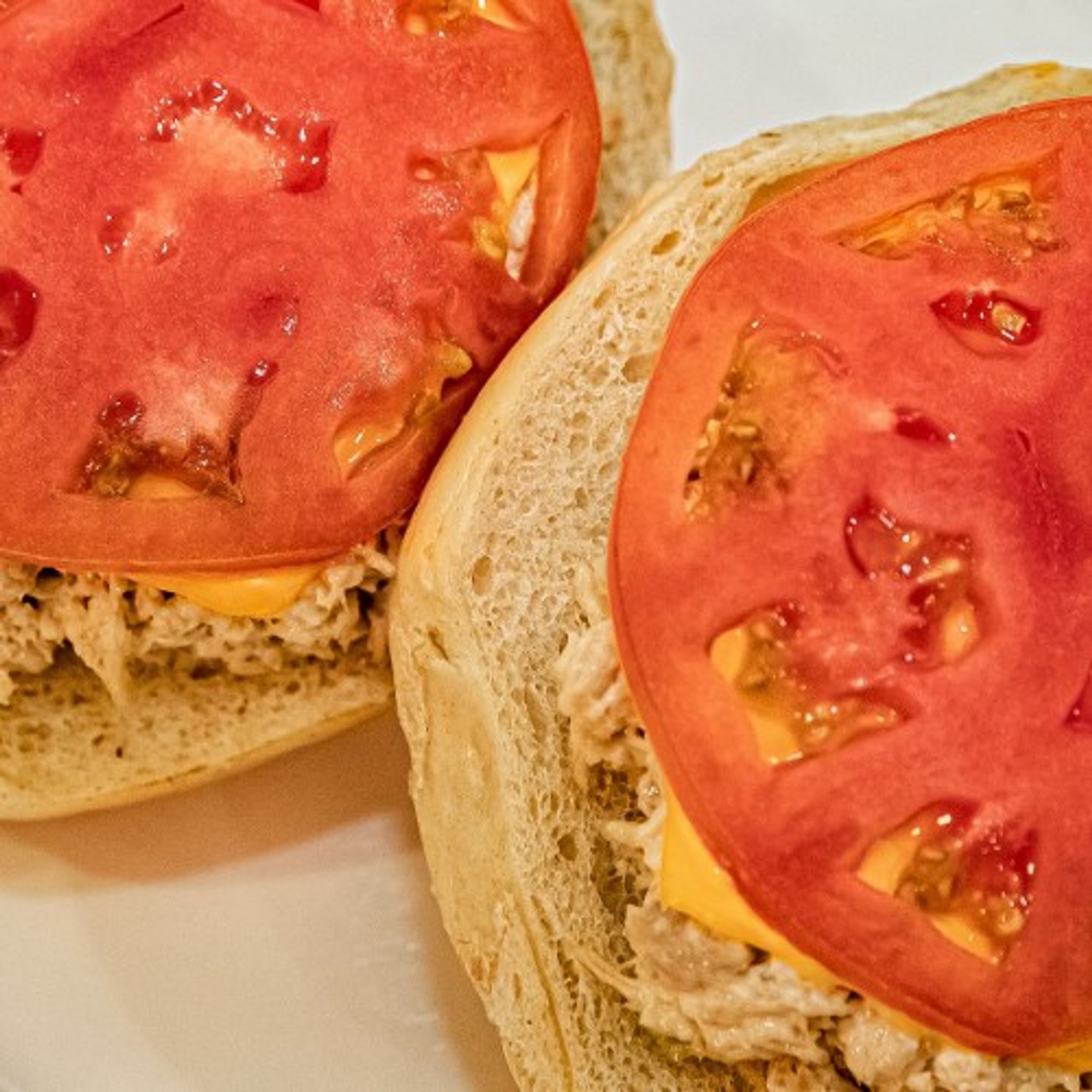Tuna Melt