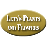 Lety's Plants And Flowers