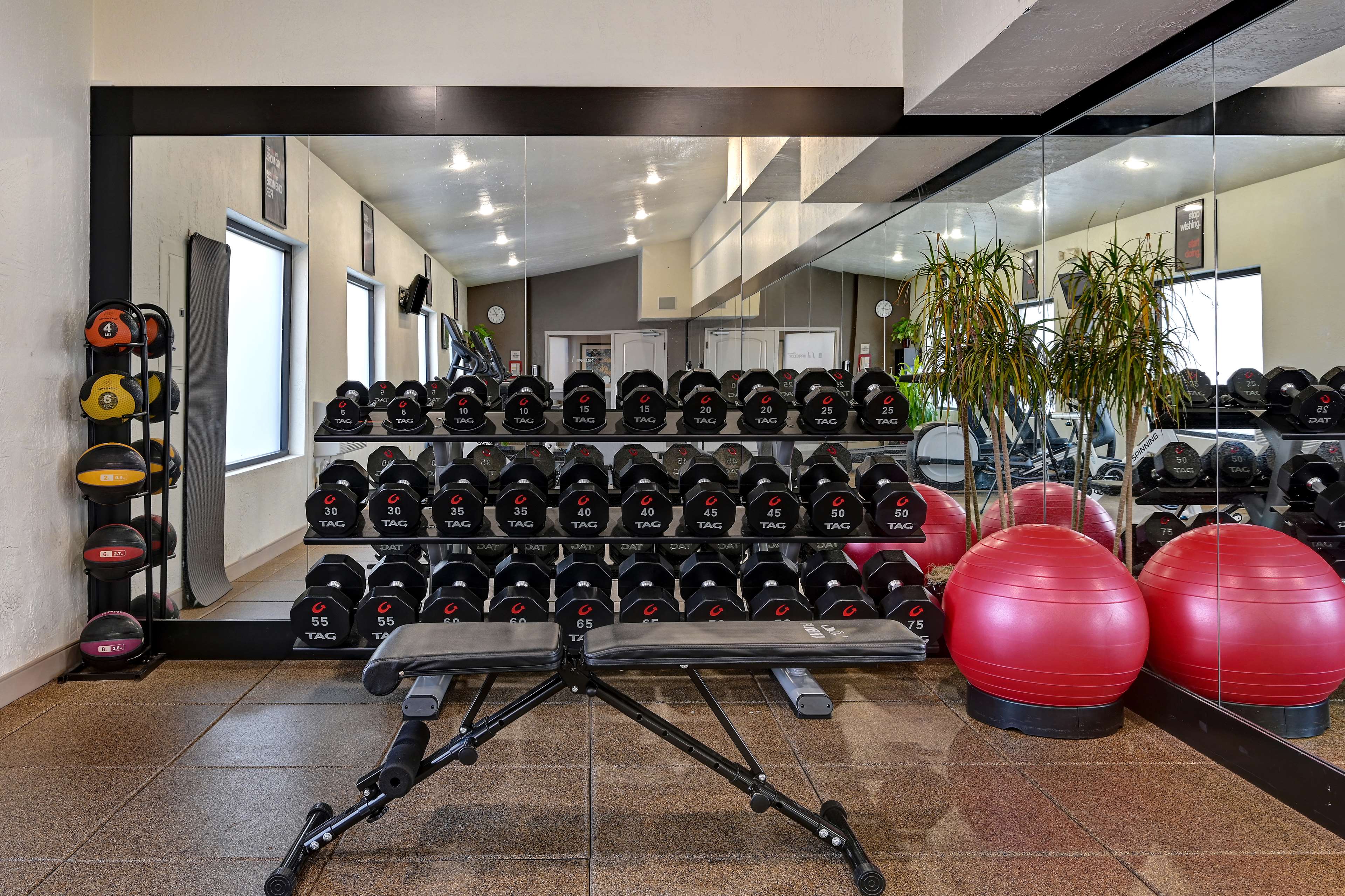 Health club  fitness center  gym