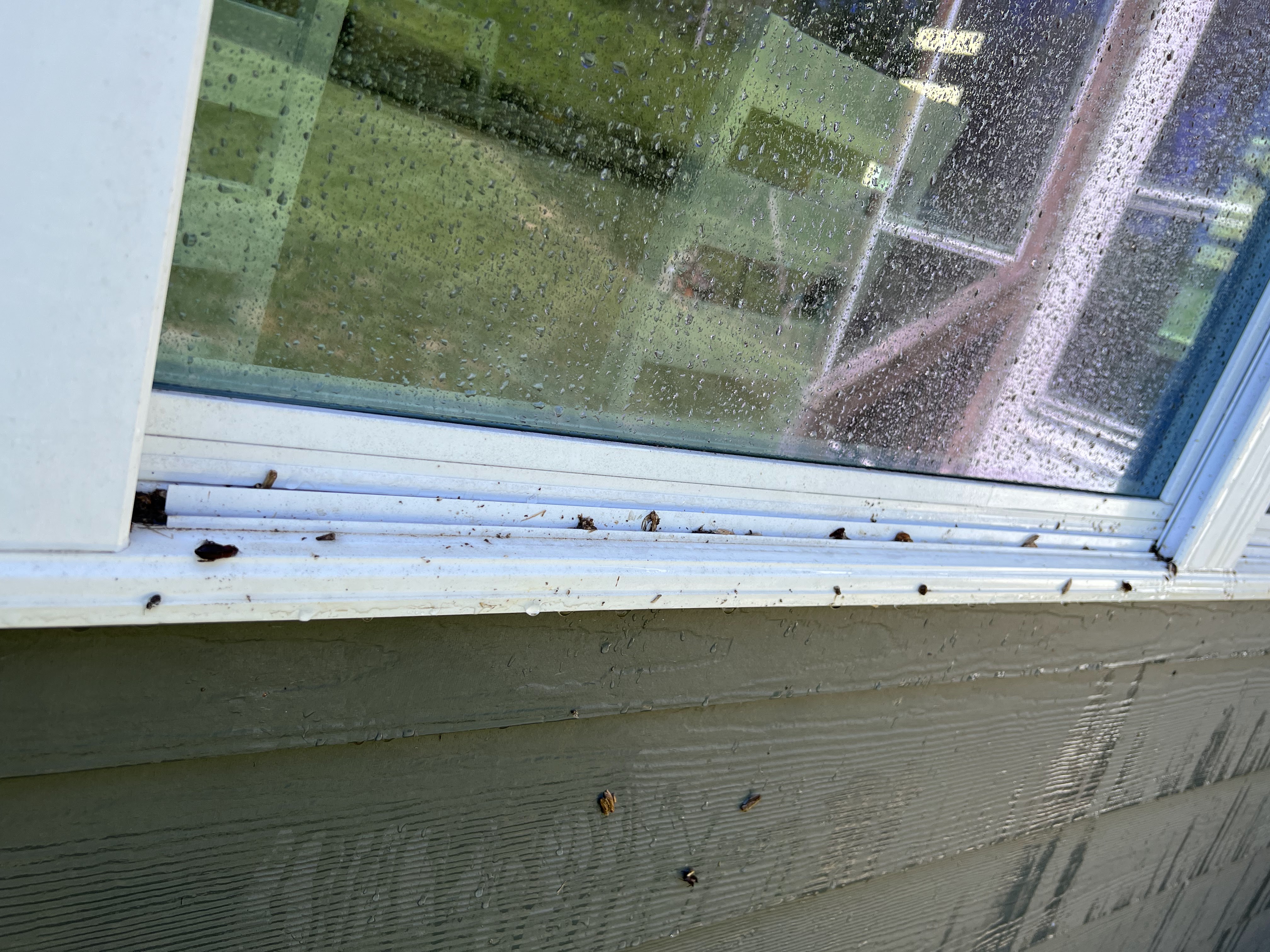 Window Hero Lake Norman Image