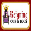 Reigning Cats & Dogs