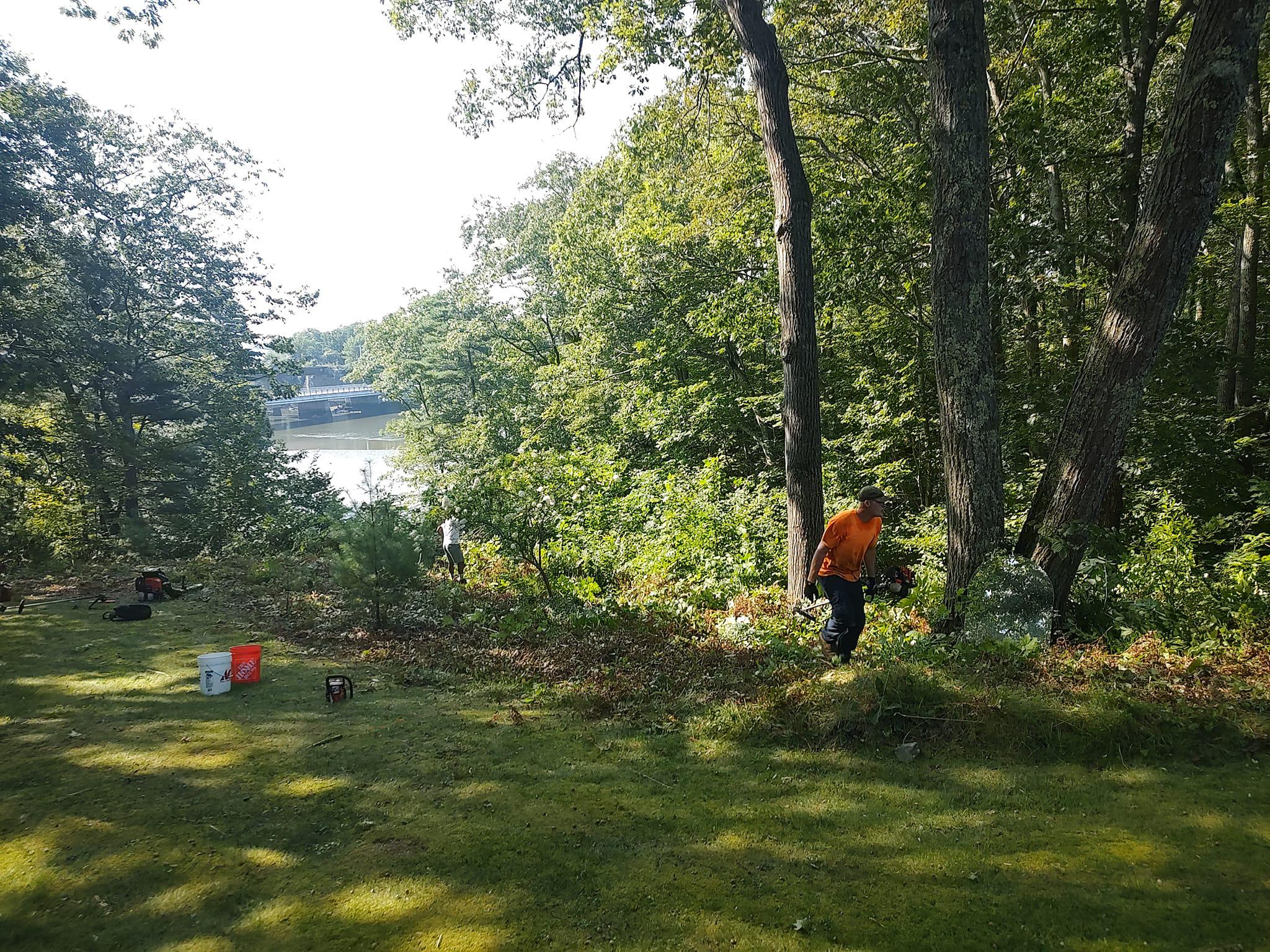 Weavs Landscaping Image