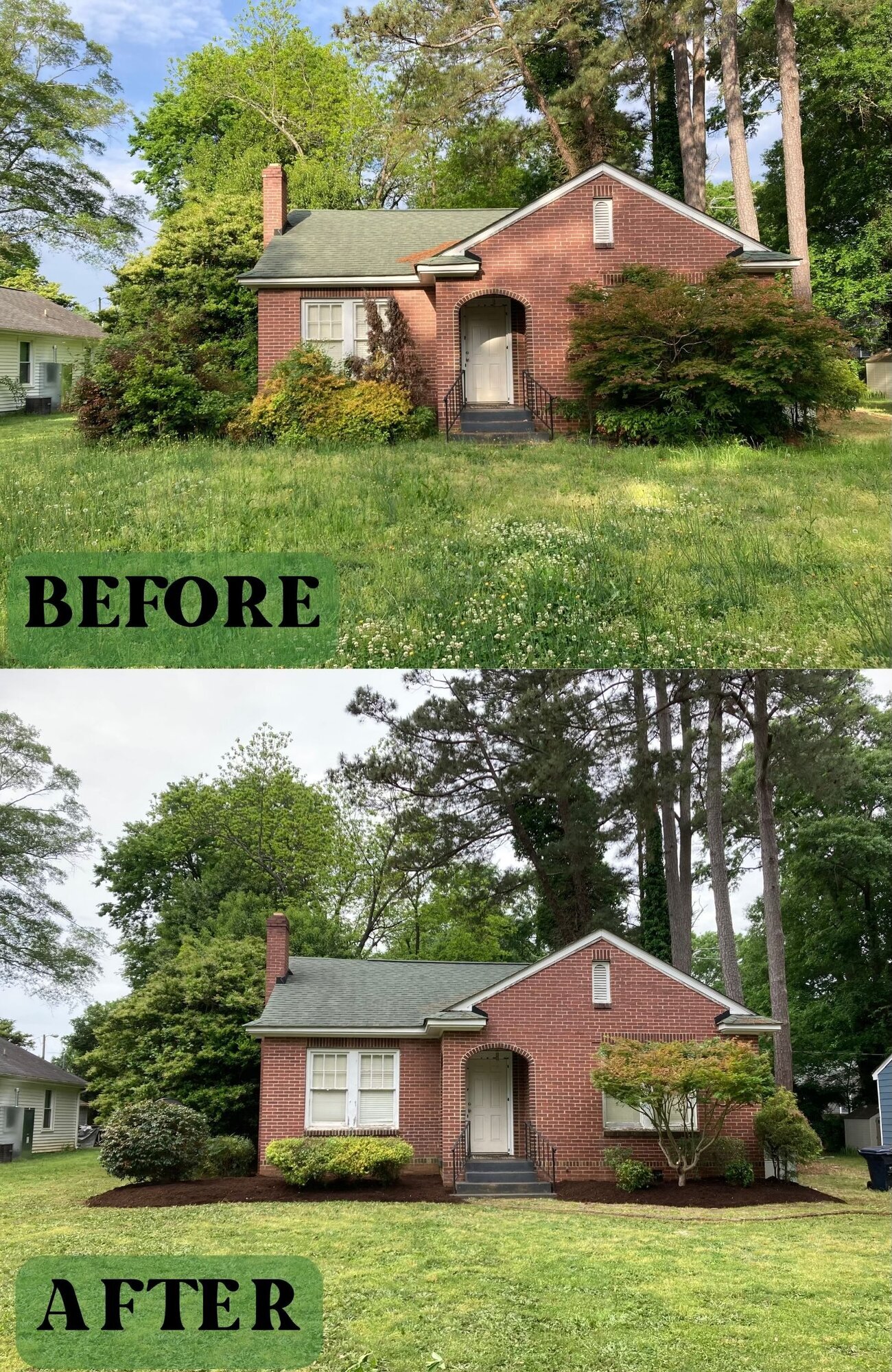 Fresh Start Landscape Image