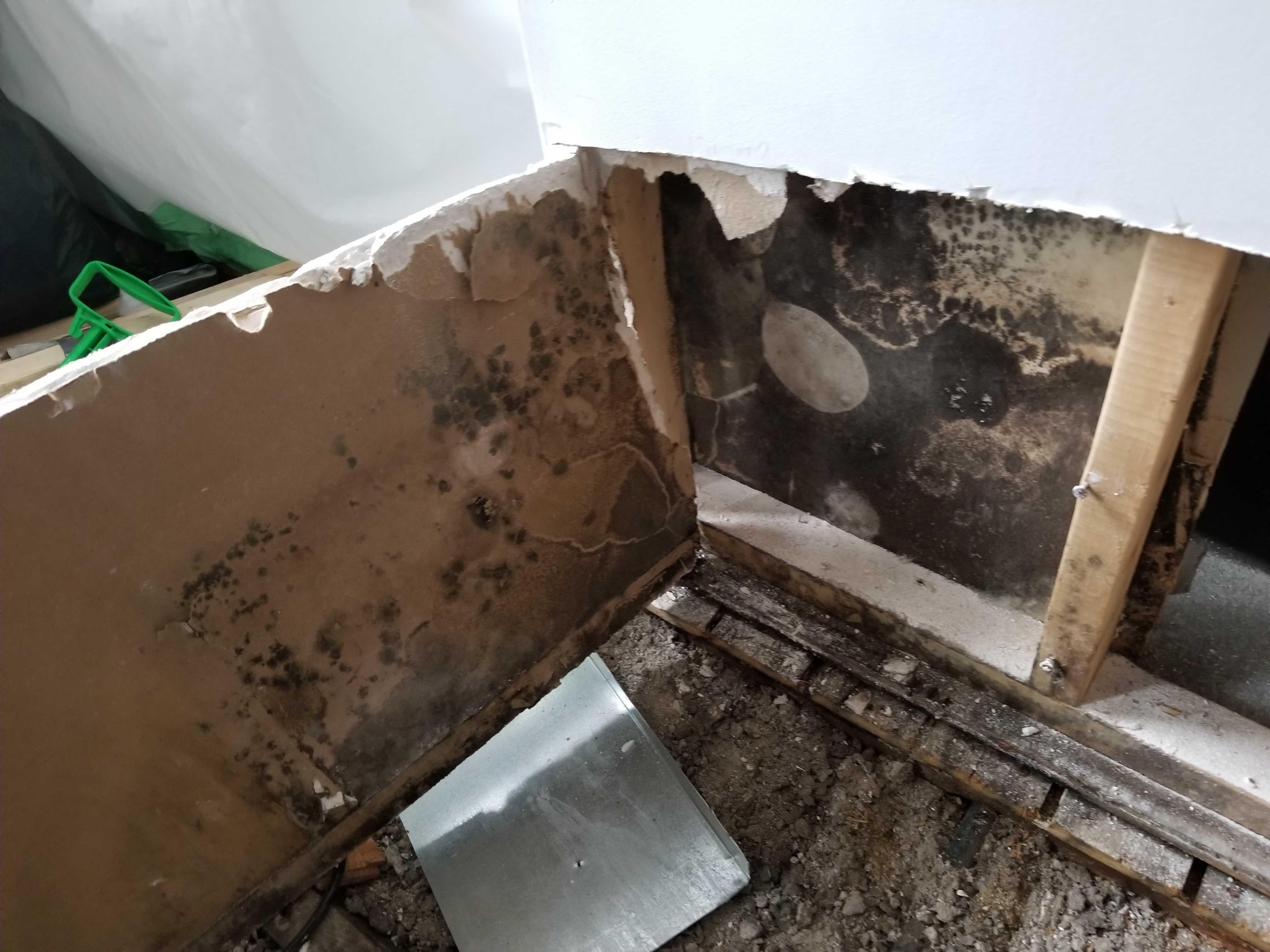 Rocky Mountain Restoration Image