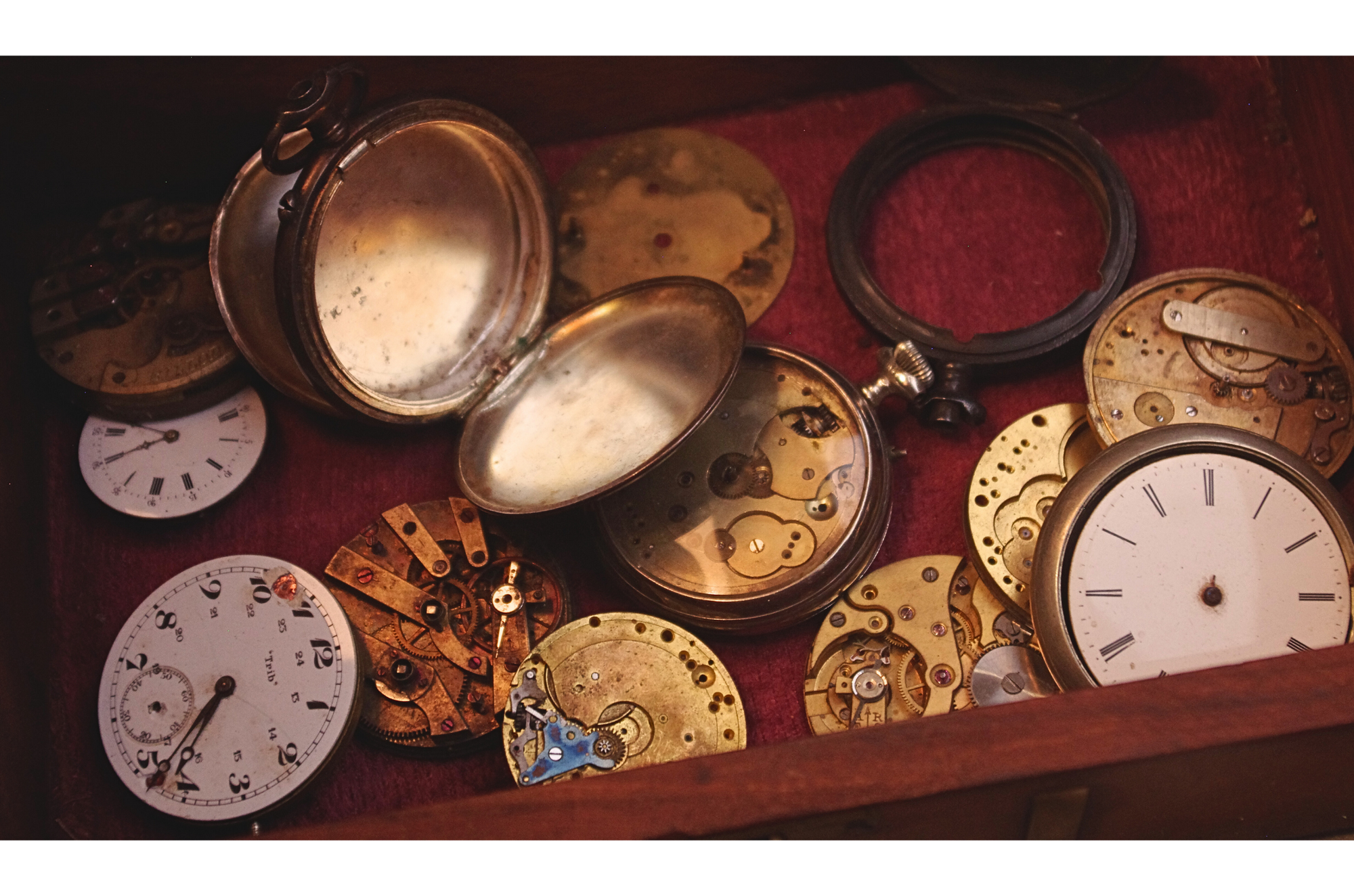 Miniature de la galerie