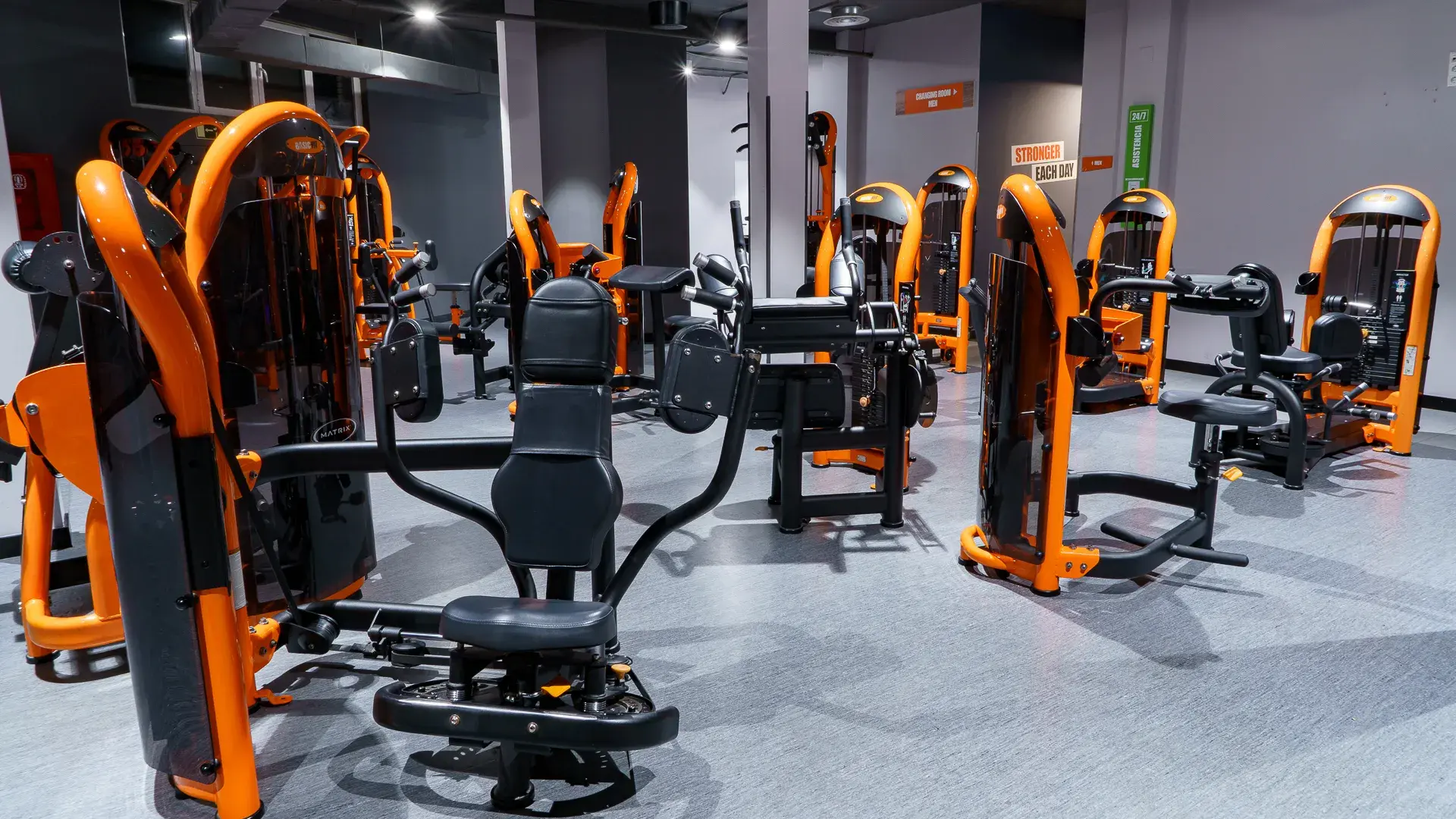 Galería en miniatura