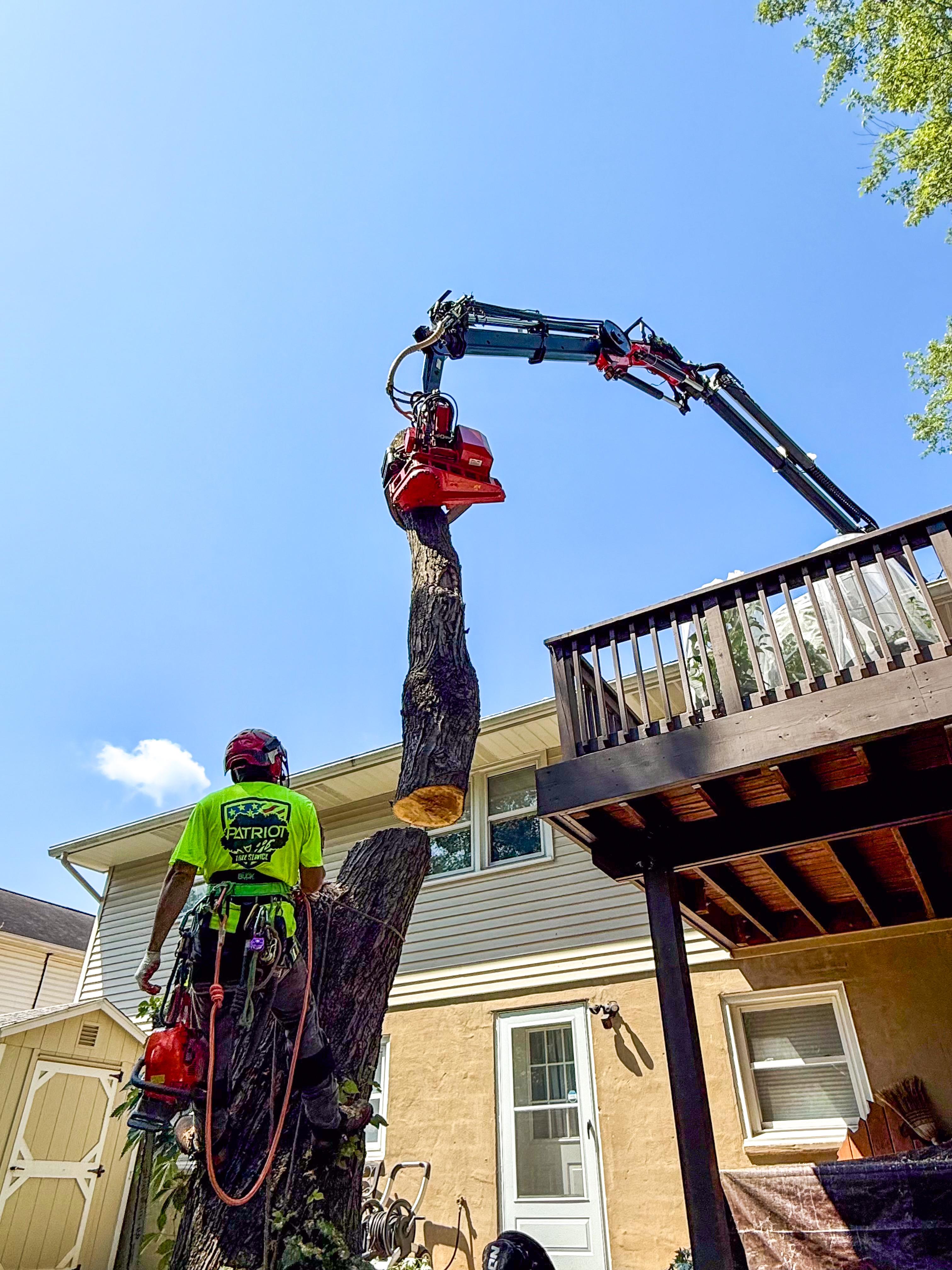 Patriot Tree Service Image