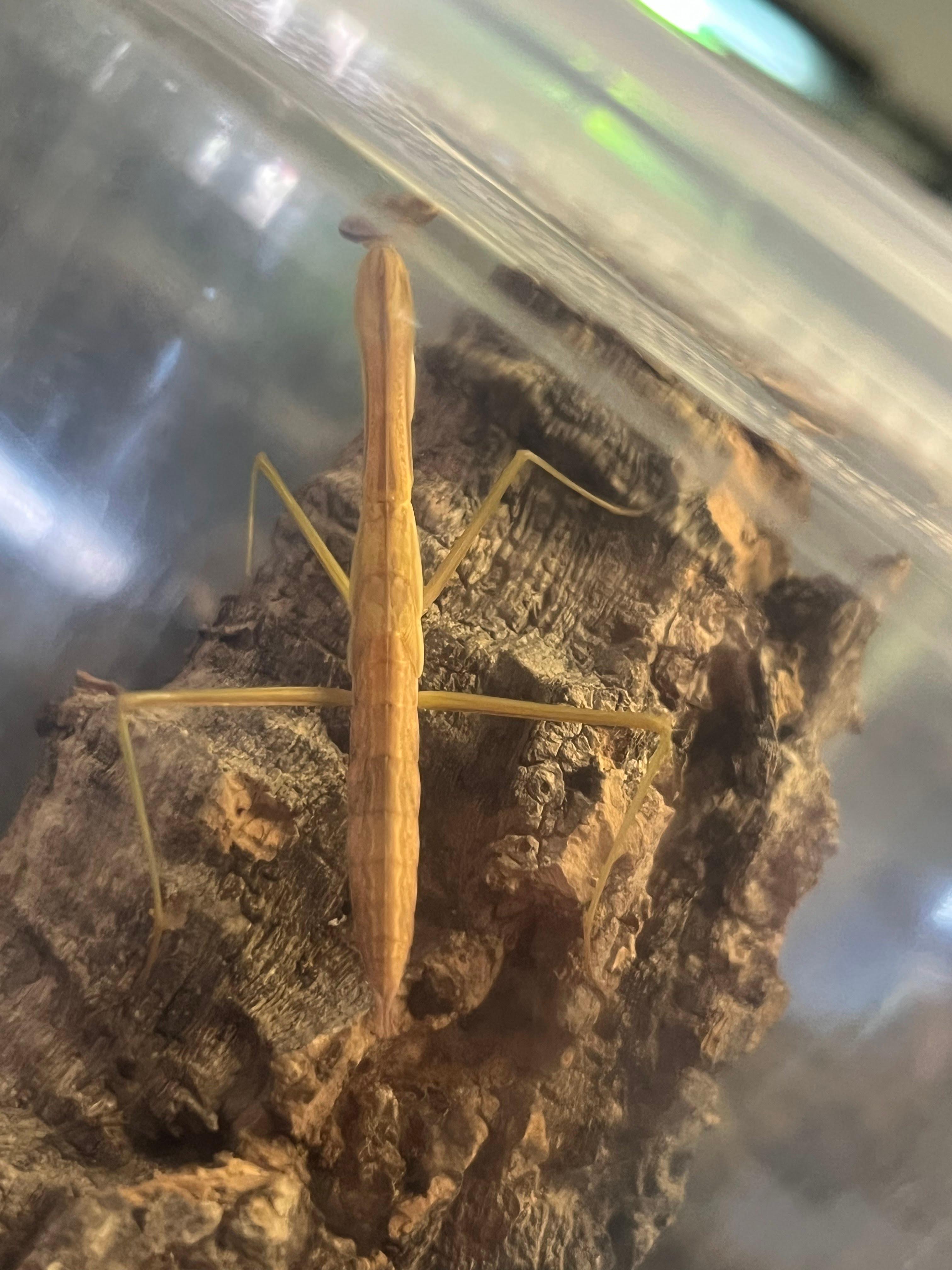 Terrarium Station Image