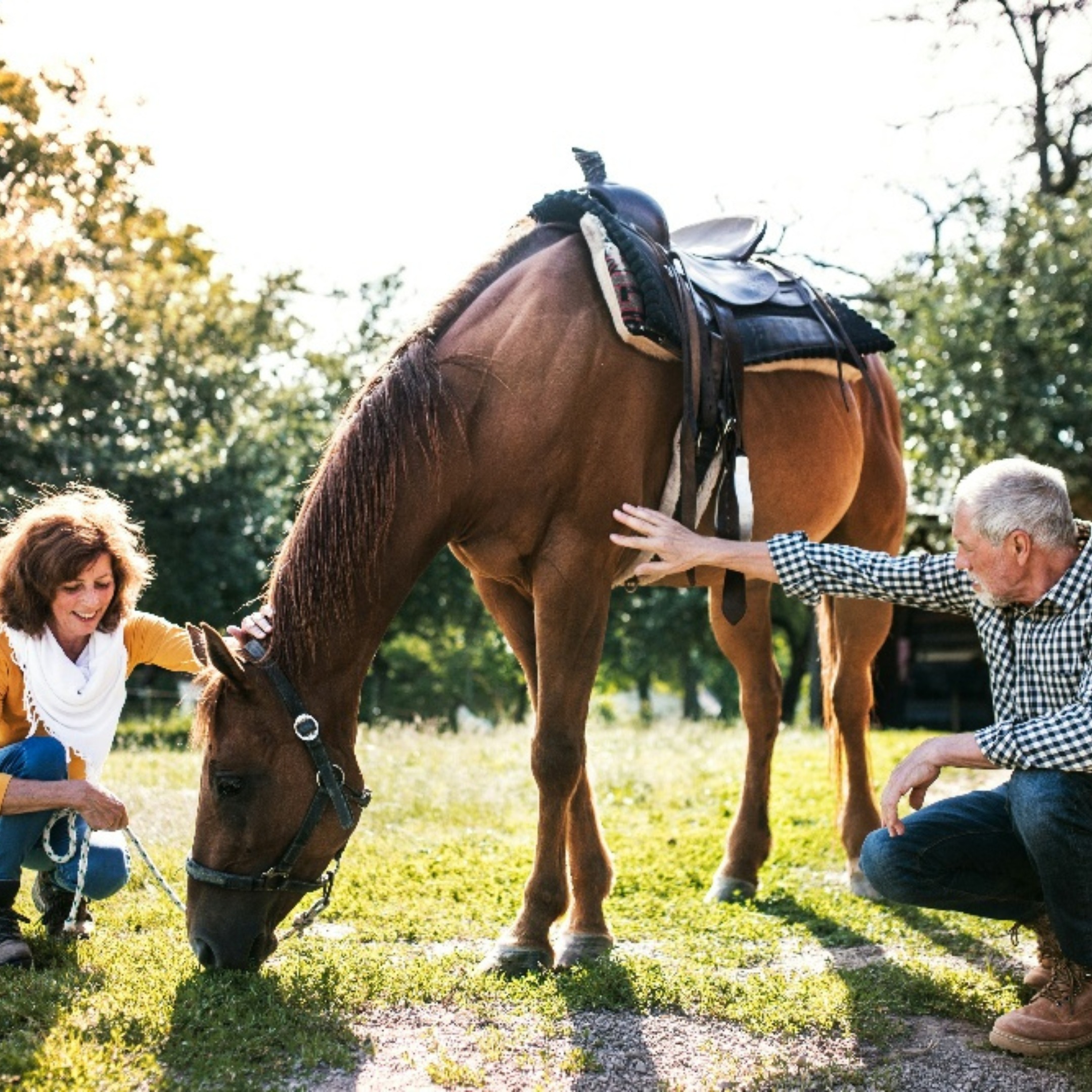 Discovery Acres Recovery & Wellness