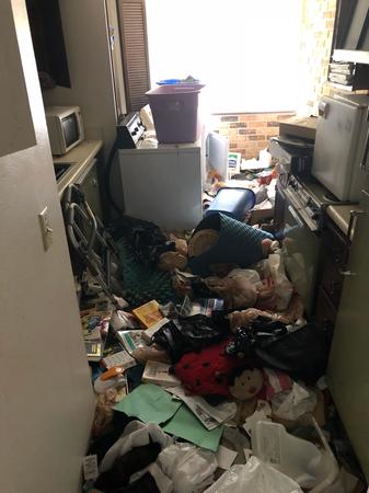 Images G3 Junk Removal