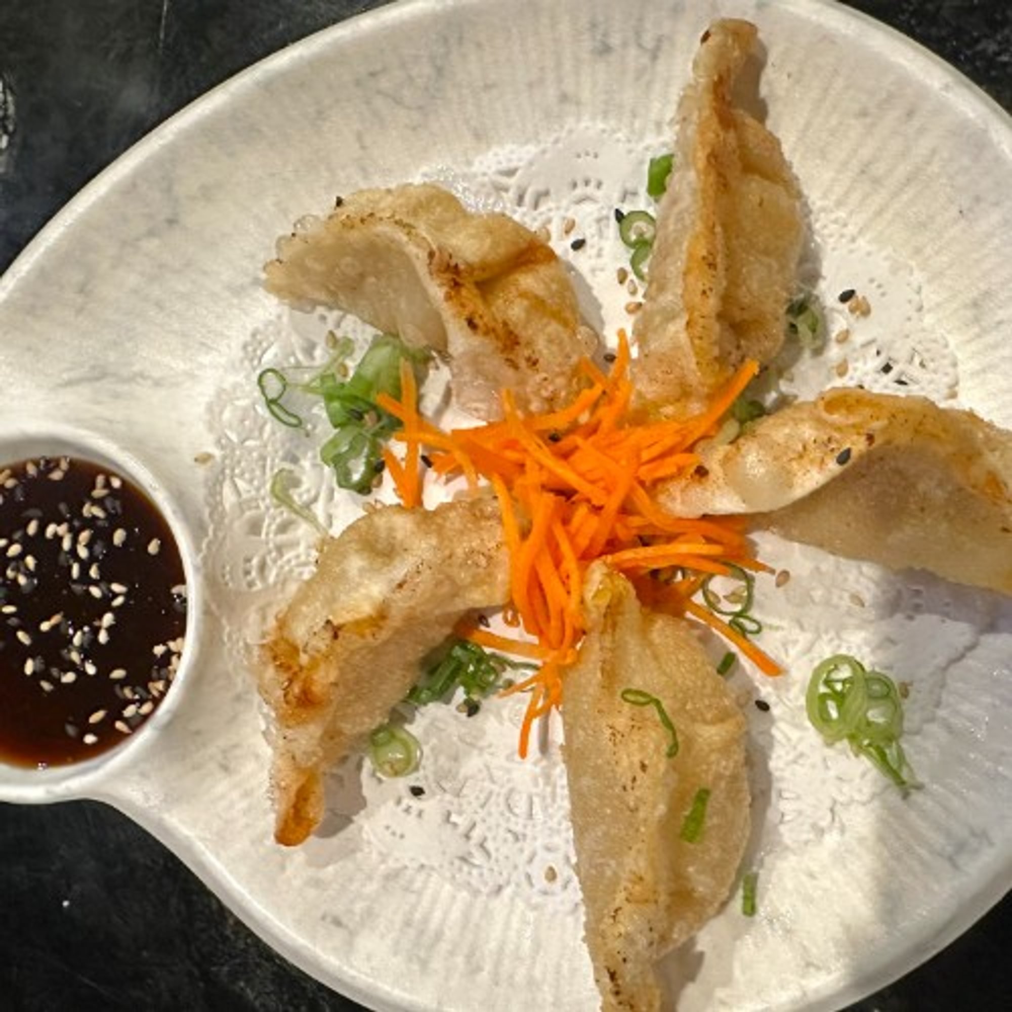 Chicken Teriyaki Gyoza