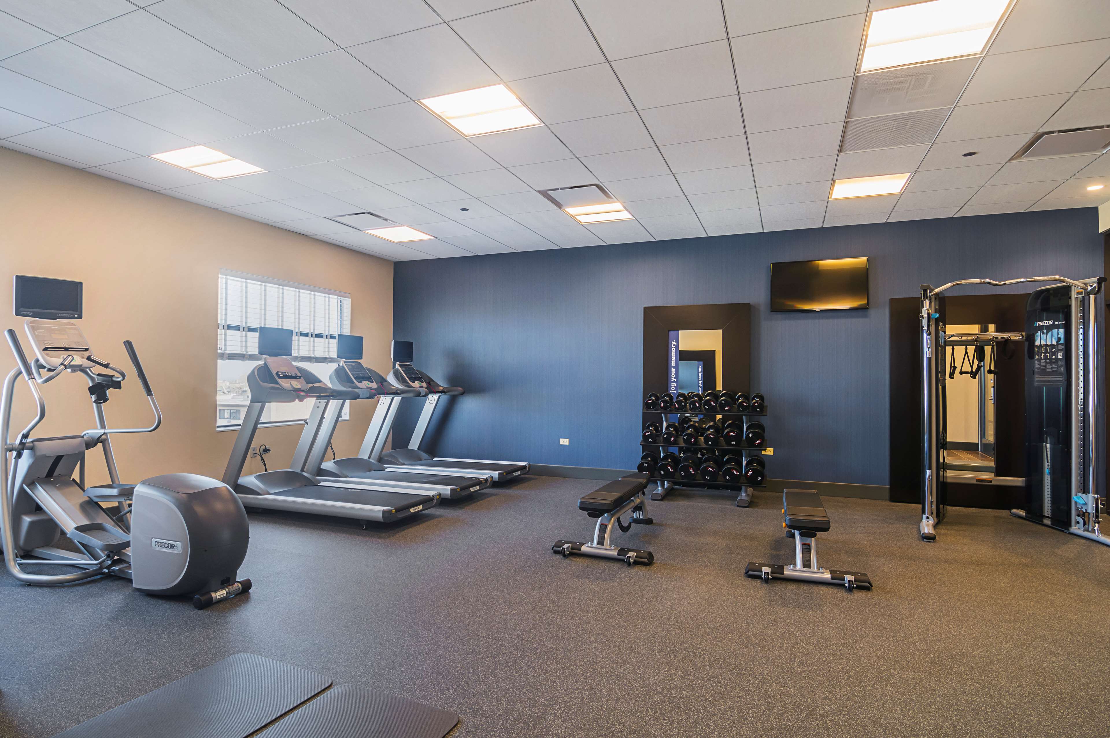 Health club  fitness center  gym