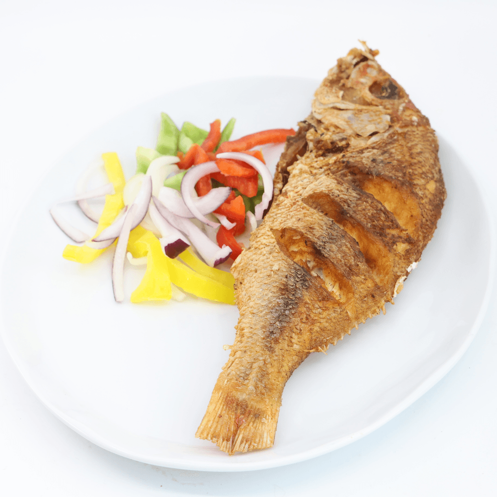 Red Snapper (XL)