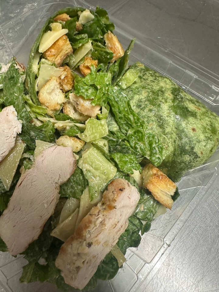 Chicken Caesar Wrap **