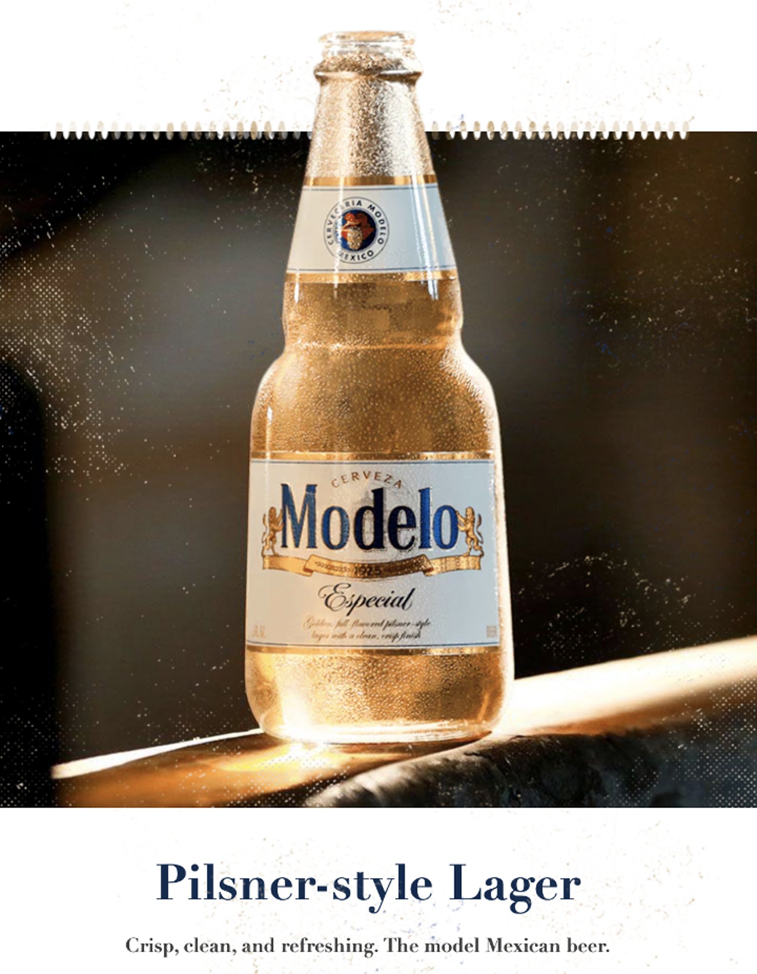 modelo especial