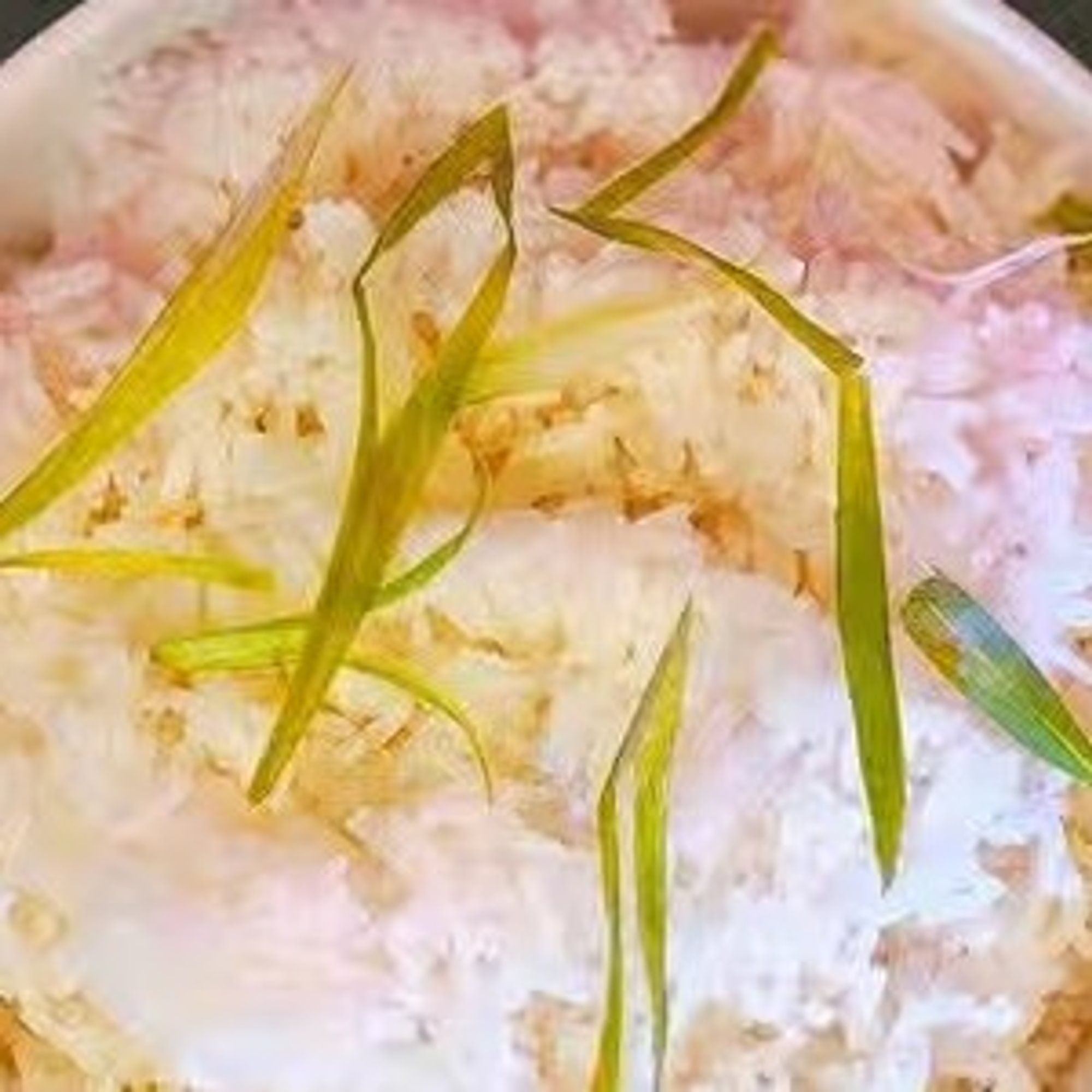 White Rice