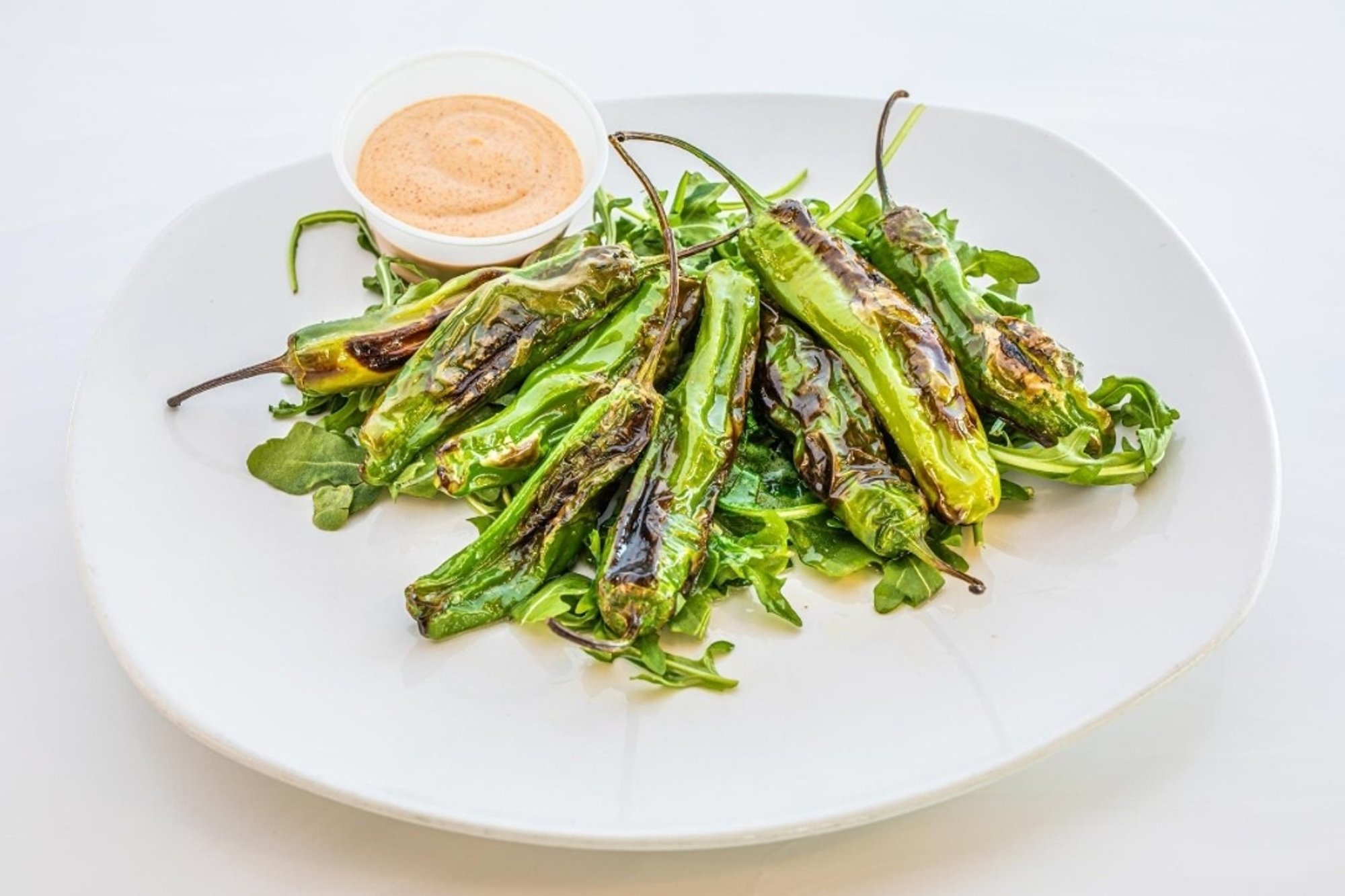 blistered shishito peppers