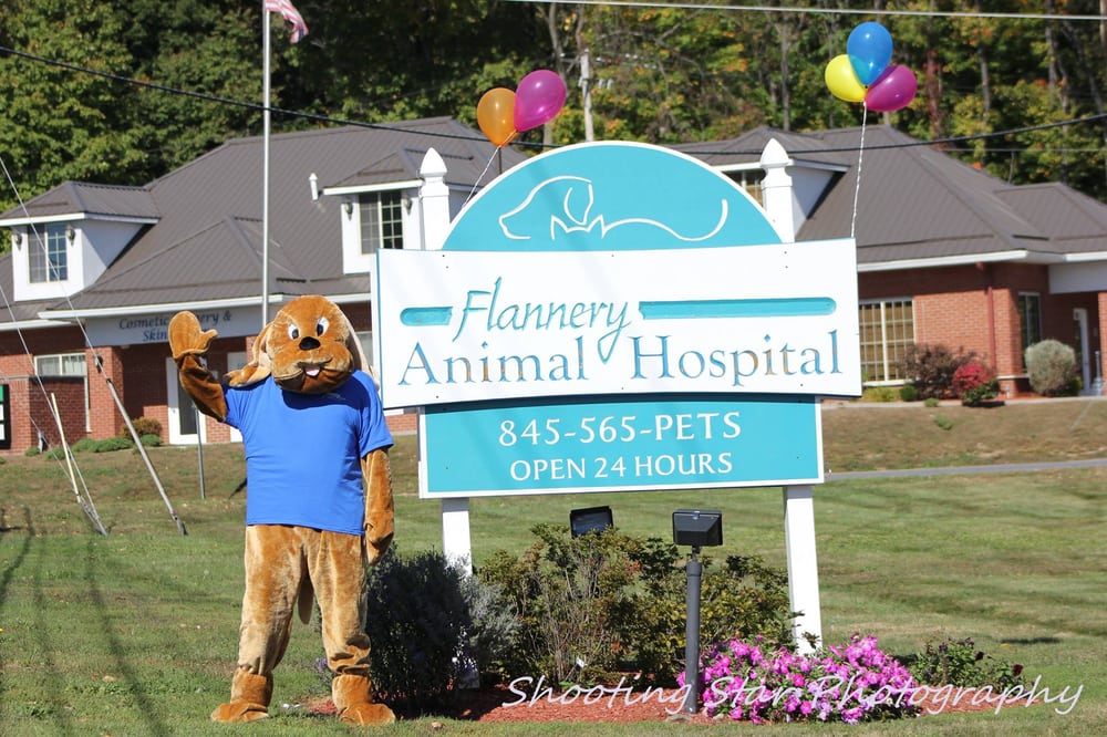 VCA Flannery Animal Hospital Photo