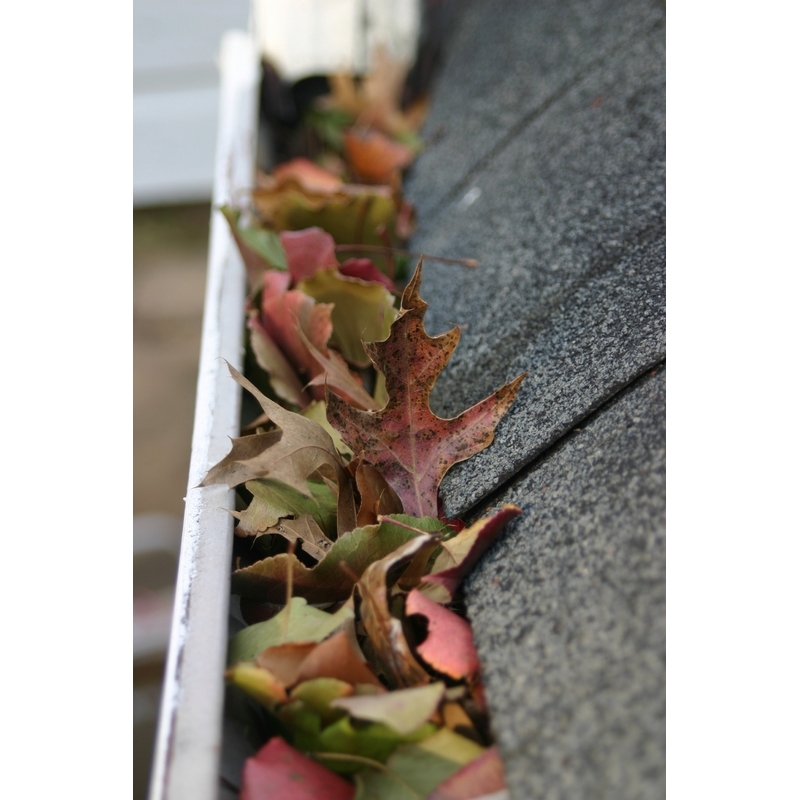 Emily Home Improvement &amp; Gutter Installation Logo