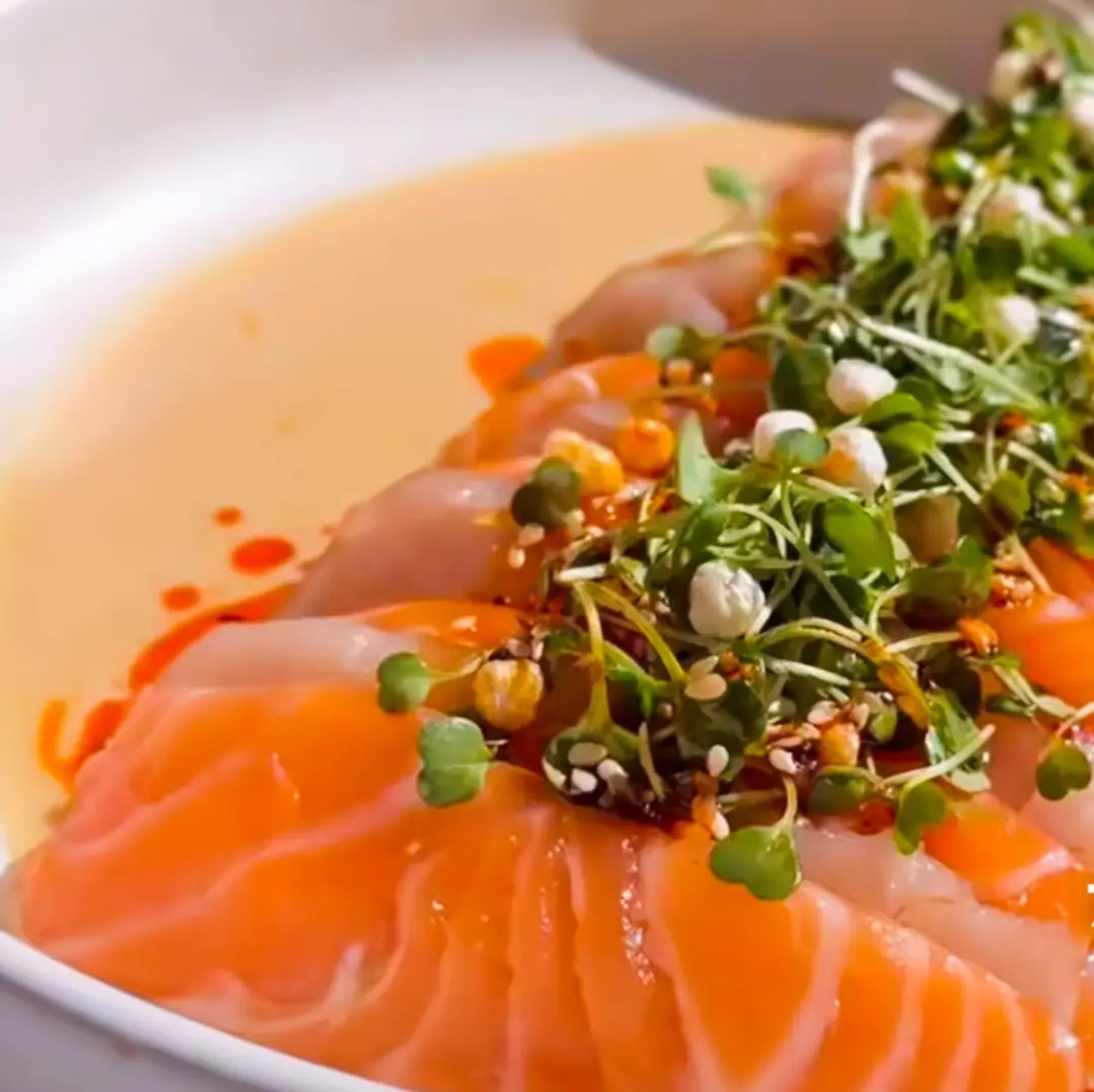 Salmon Carpaccio