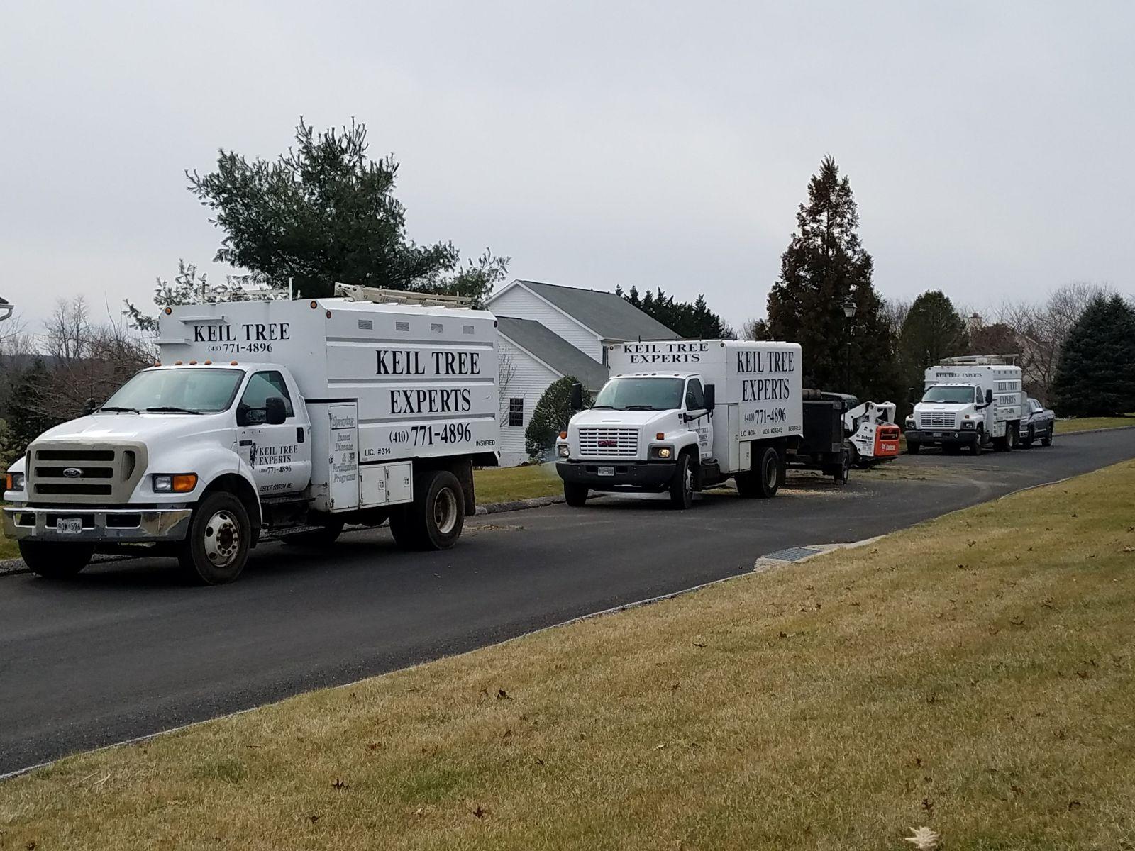 Keil Tree Experts Inc Image