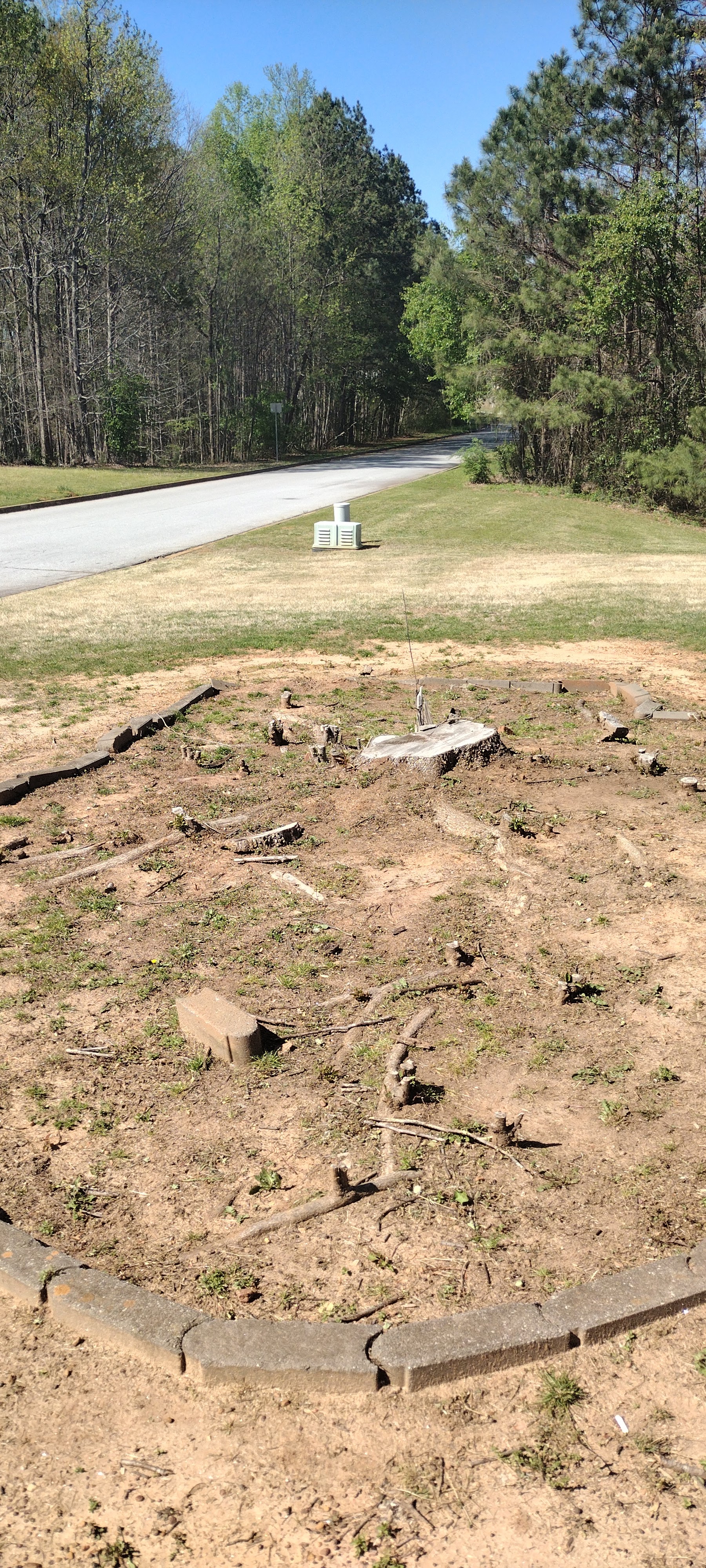 Cooleys Stump Grinding Logo