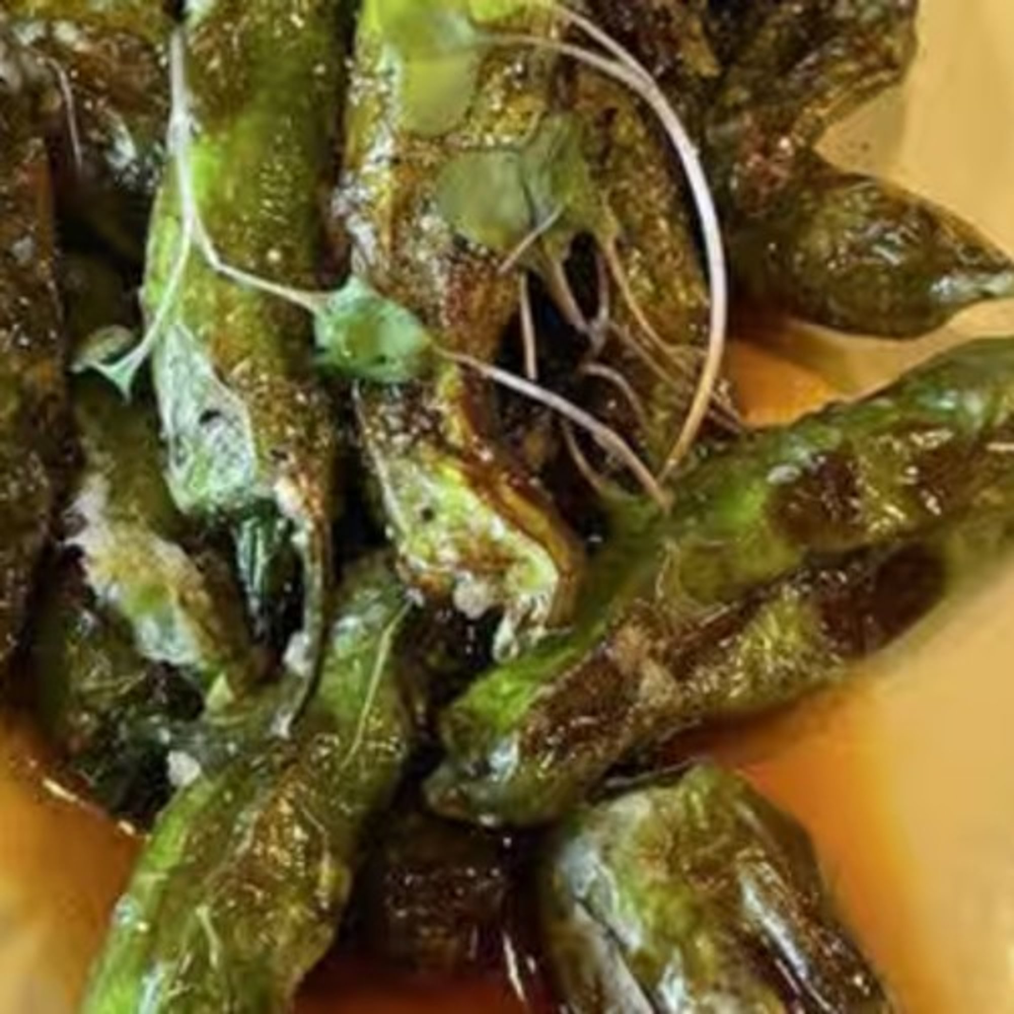 Shishito Peppers