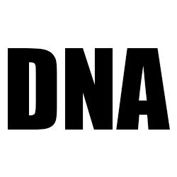 Double N Automotive Inc