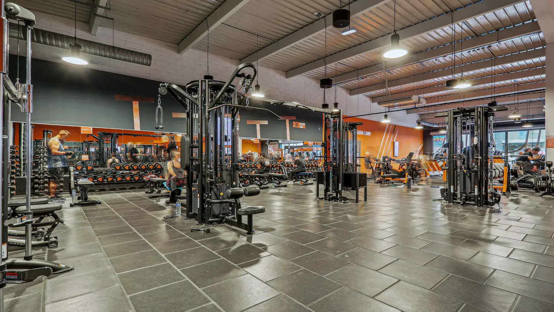 Miniature de la galerie