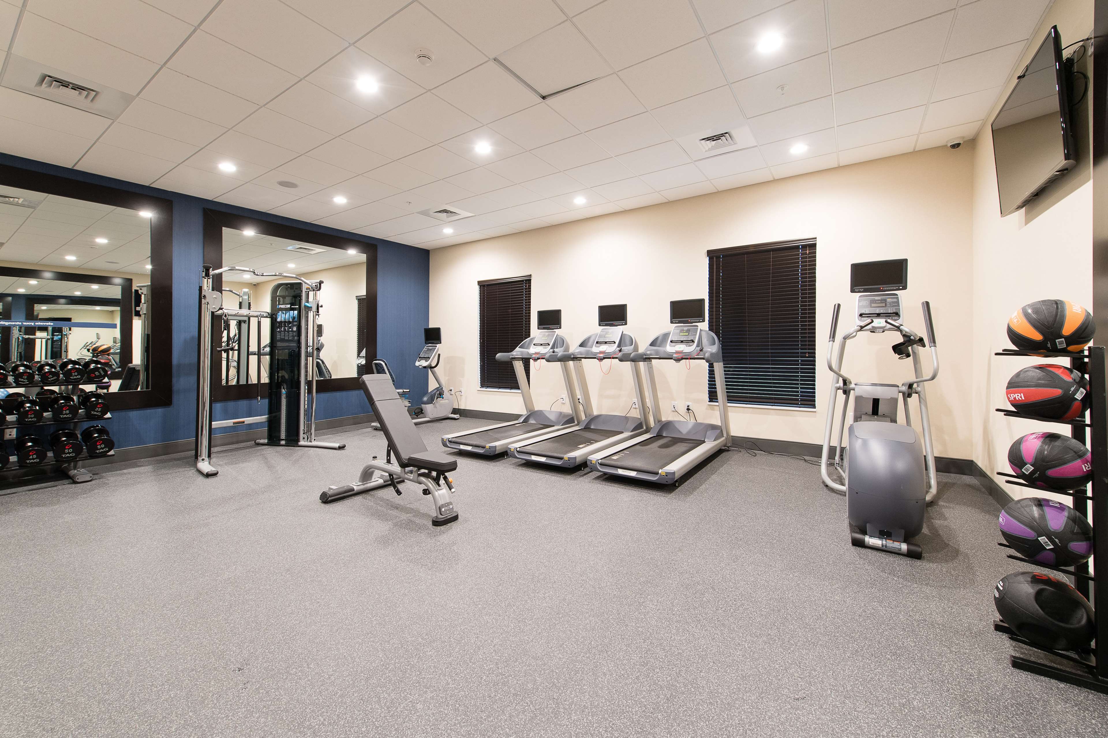 Health club  fitness center  gym