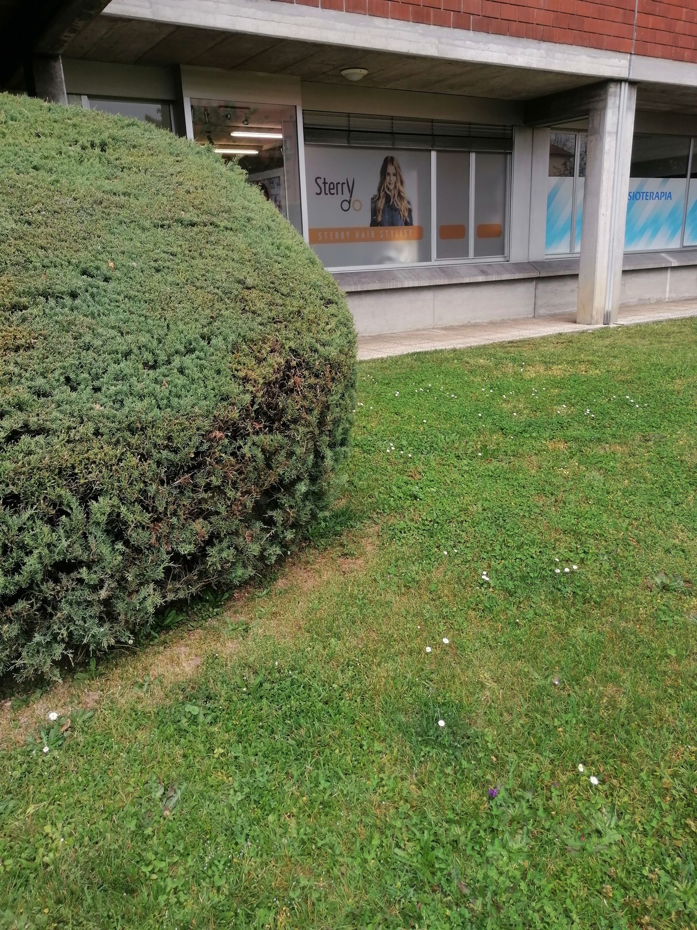 Galerie-Thumbnail