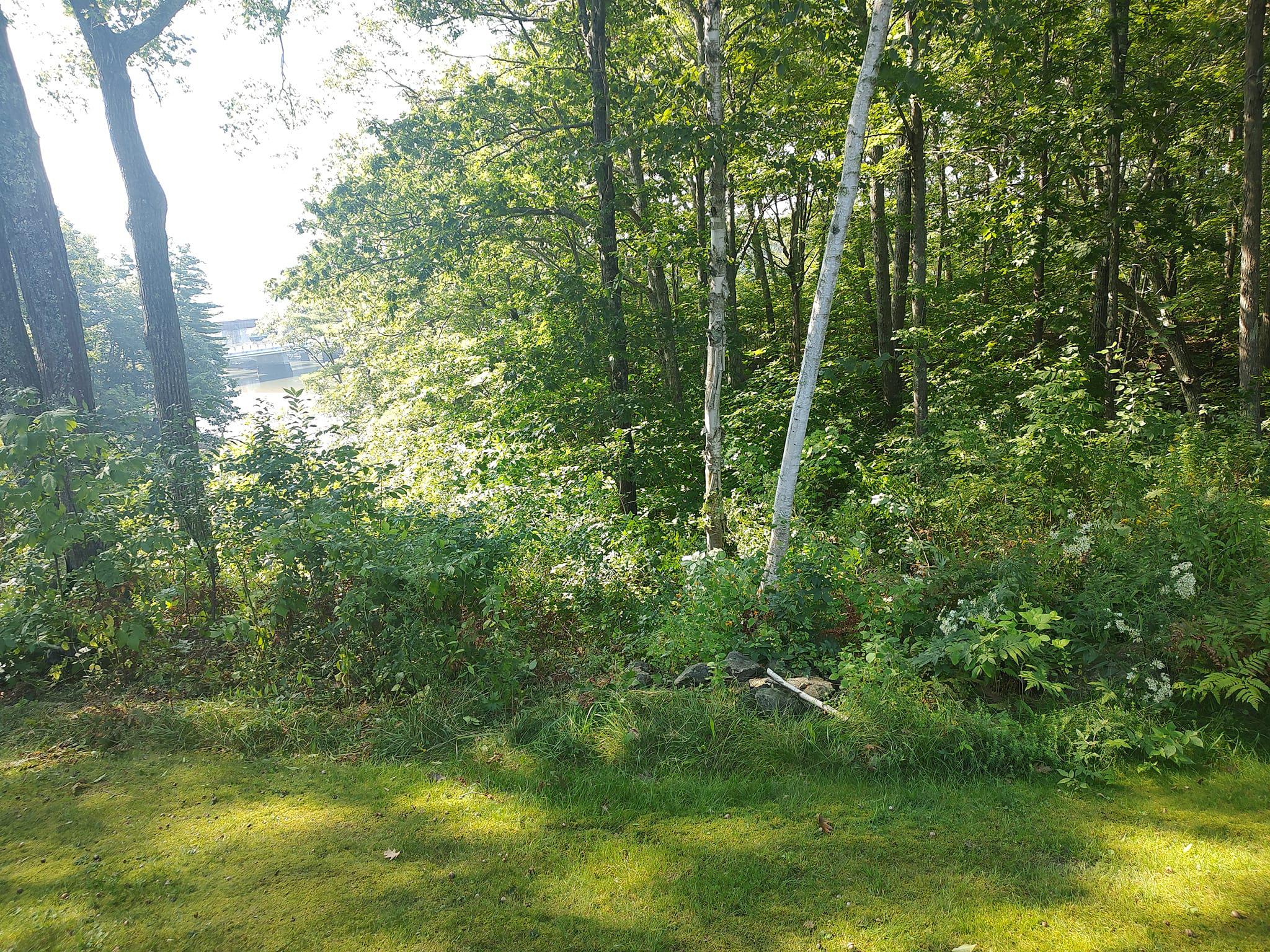 Weavs Landscaping Image
