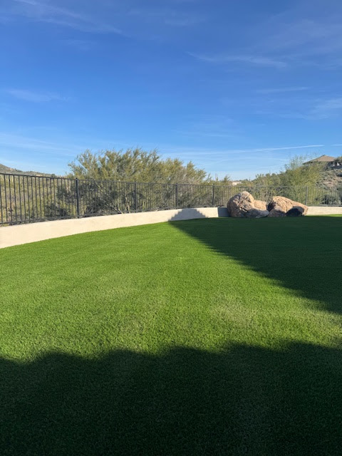 Waterloo Turf Scottsdale Image