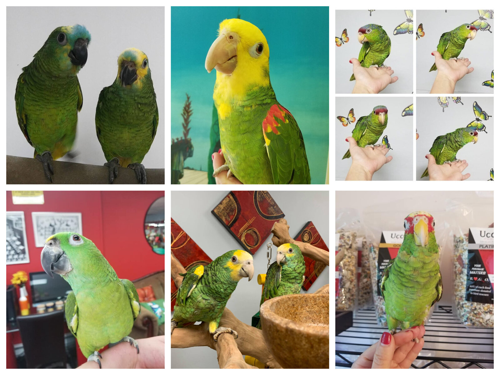 Gallery thumbnail