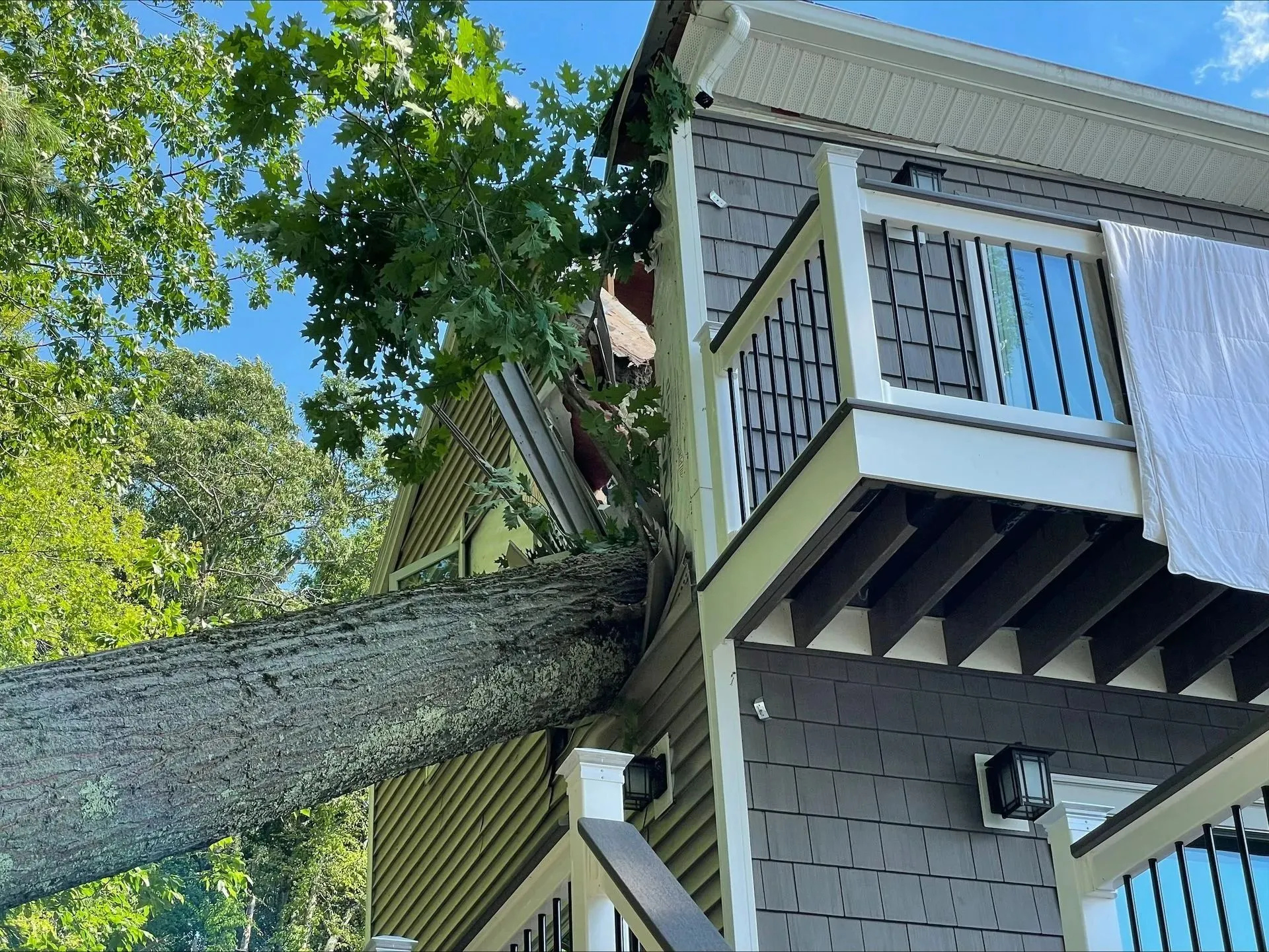 24-Hour Emergency Tree Services