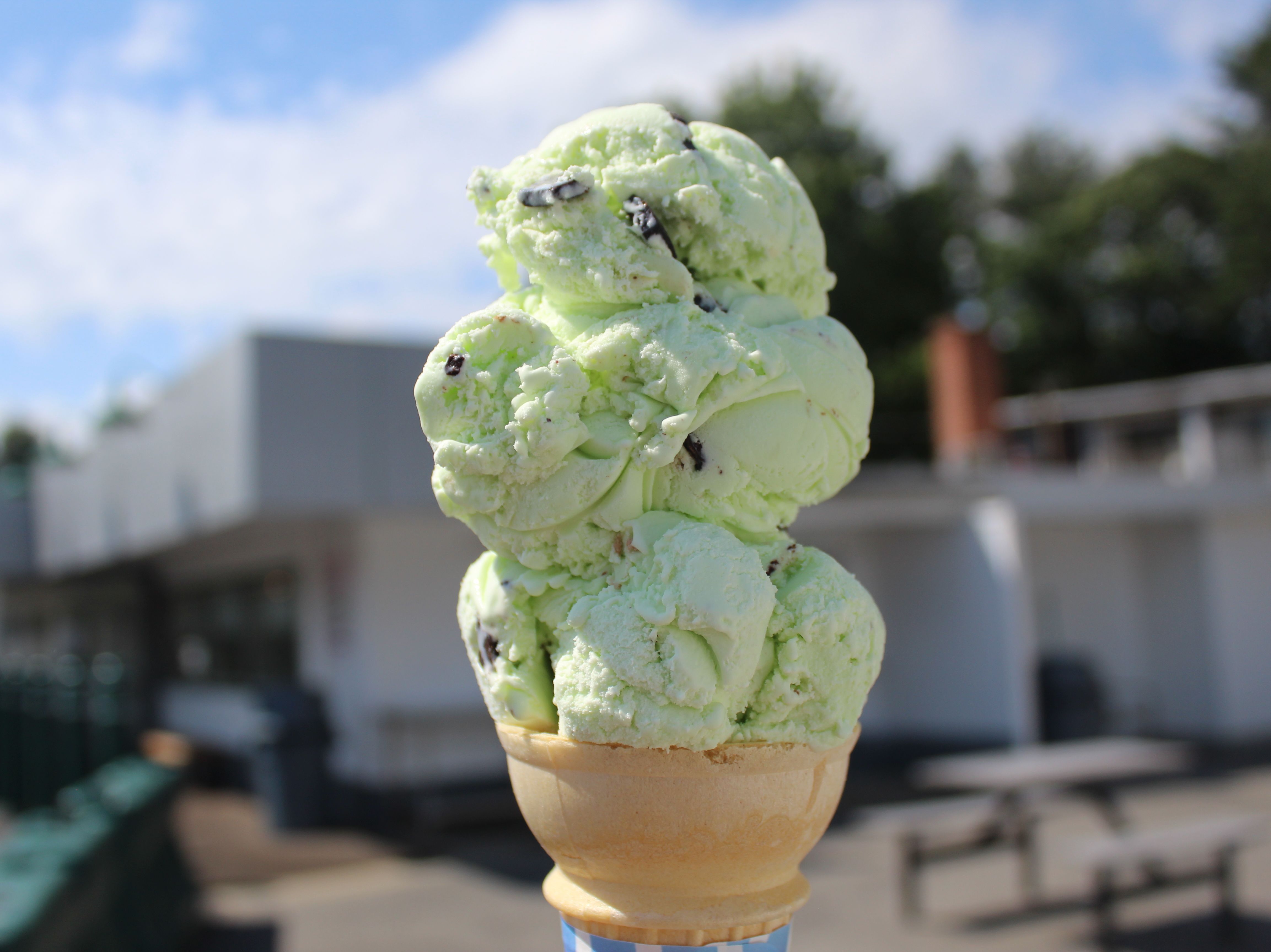Mint Chocolate Chip