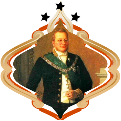 Logo di HOTEL VILLA CAVOUR