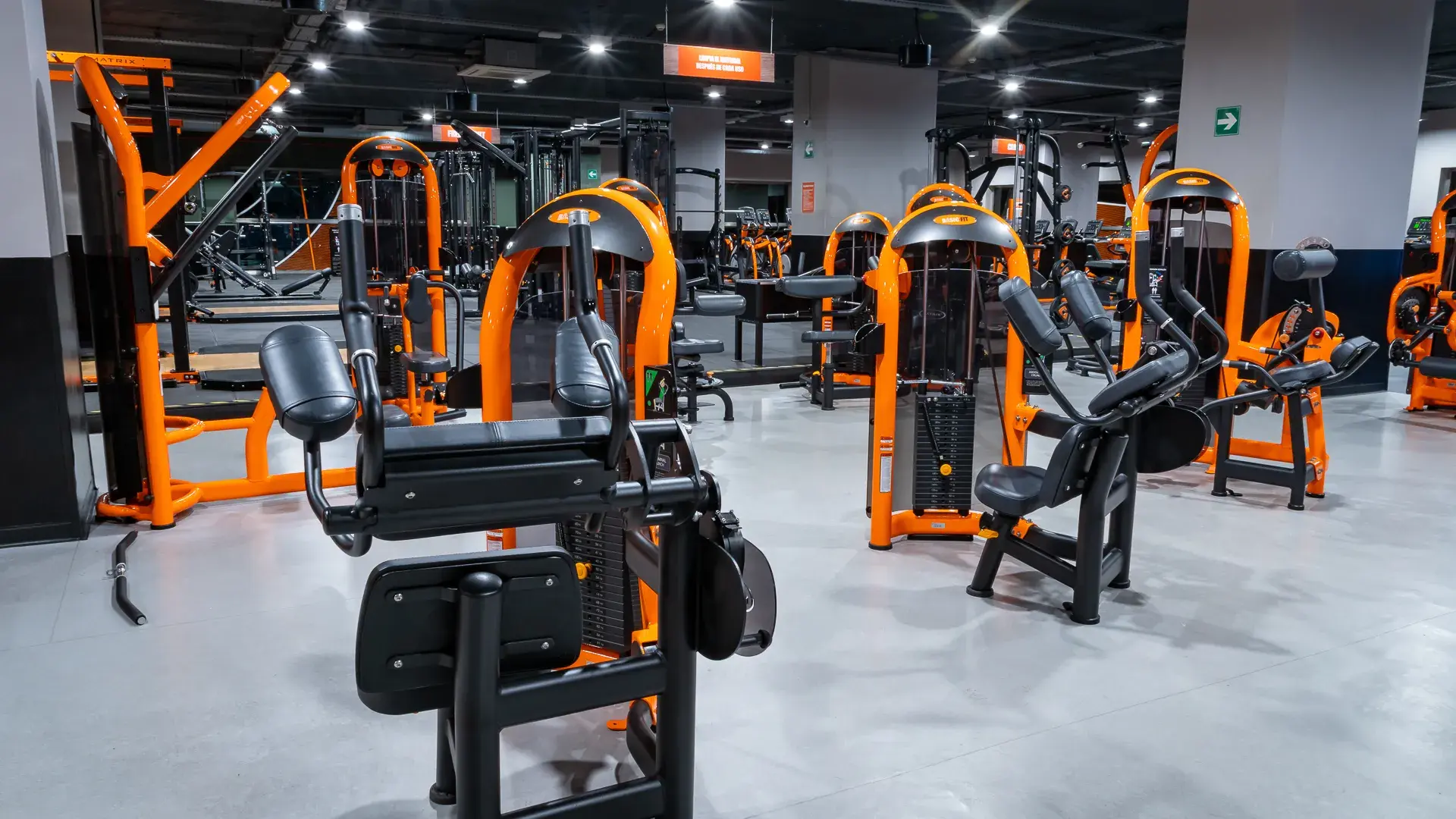 Galería en miniatura