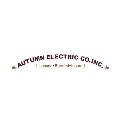 Autumn Electric Co. Inc. Logo
