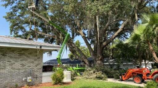 Breidenbach Tree Service of Central Florida