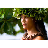 Lilikoi Concierge Logo