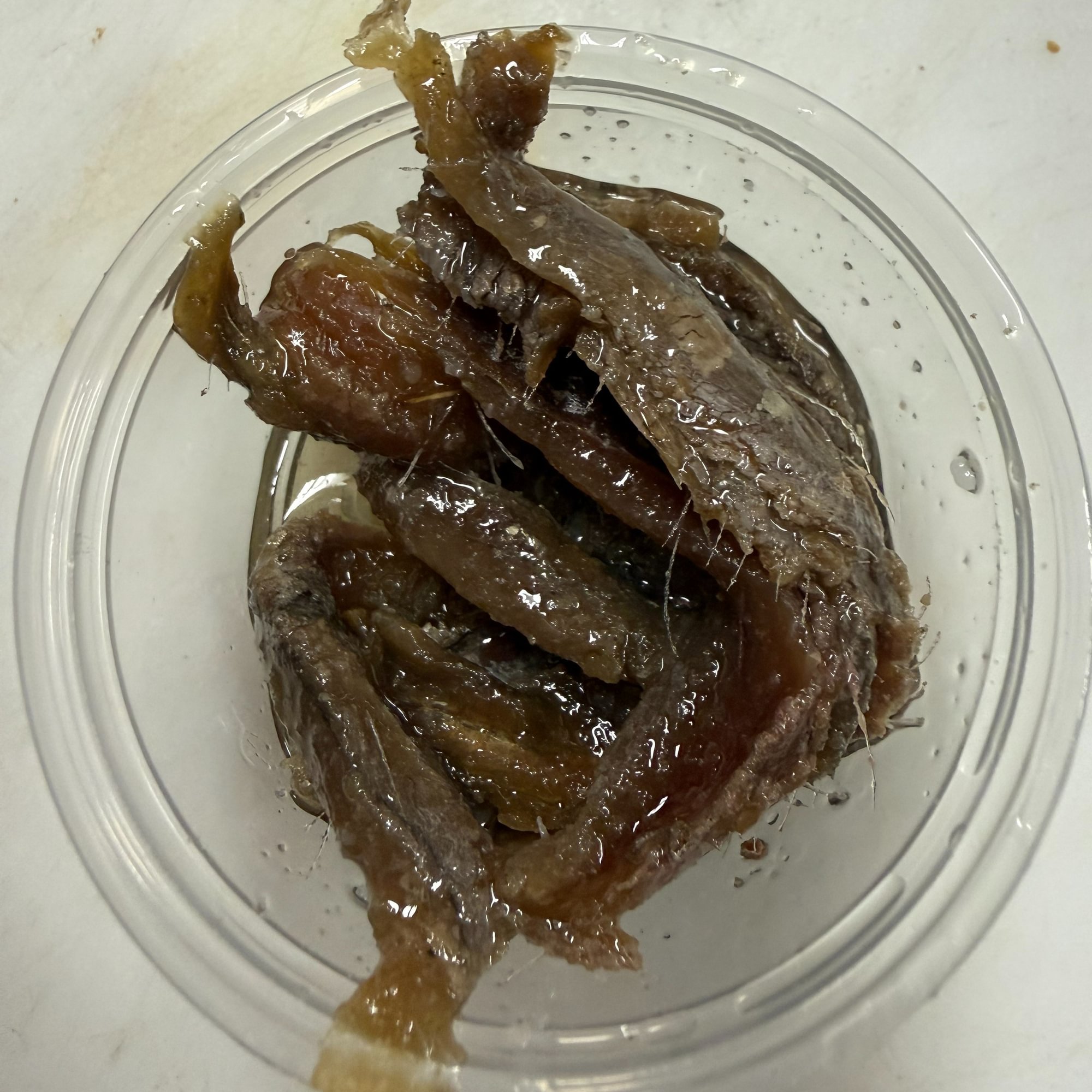 Anchovies
