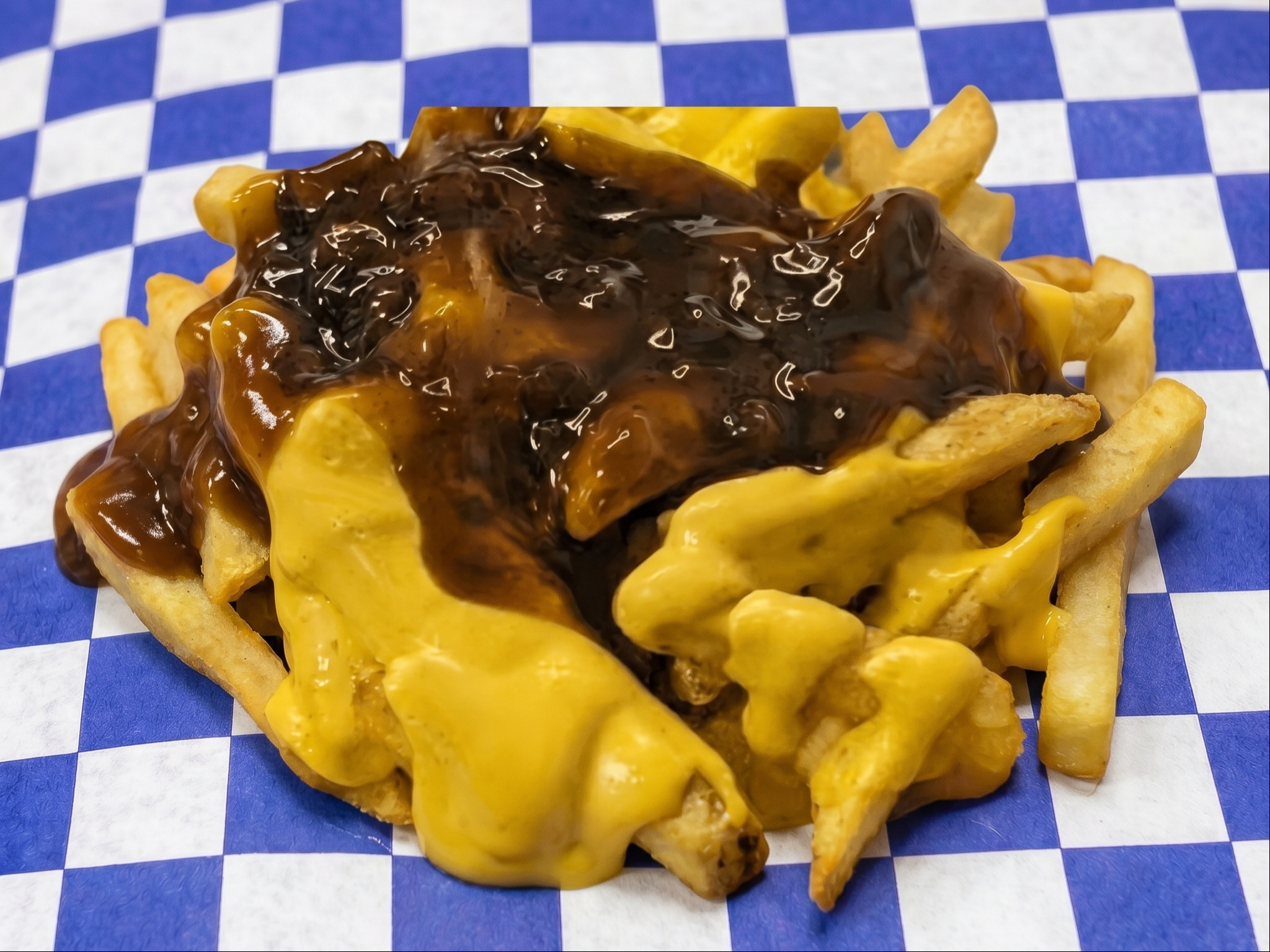 Cheesy Fries & Gravy