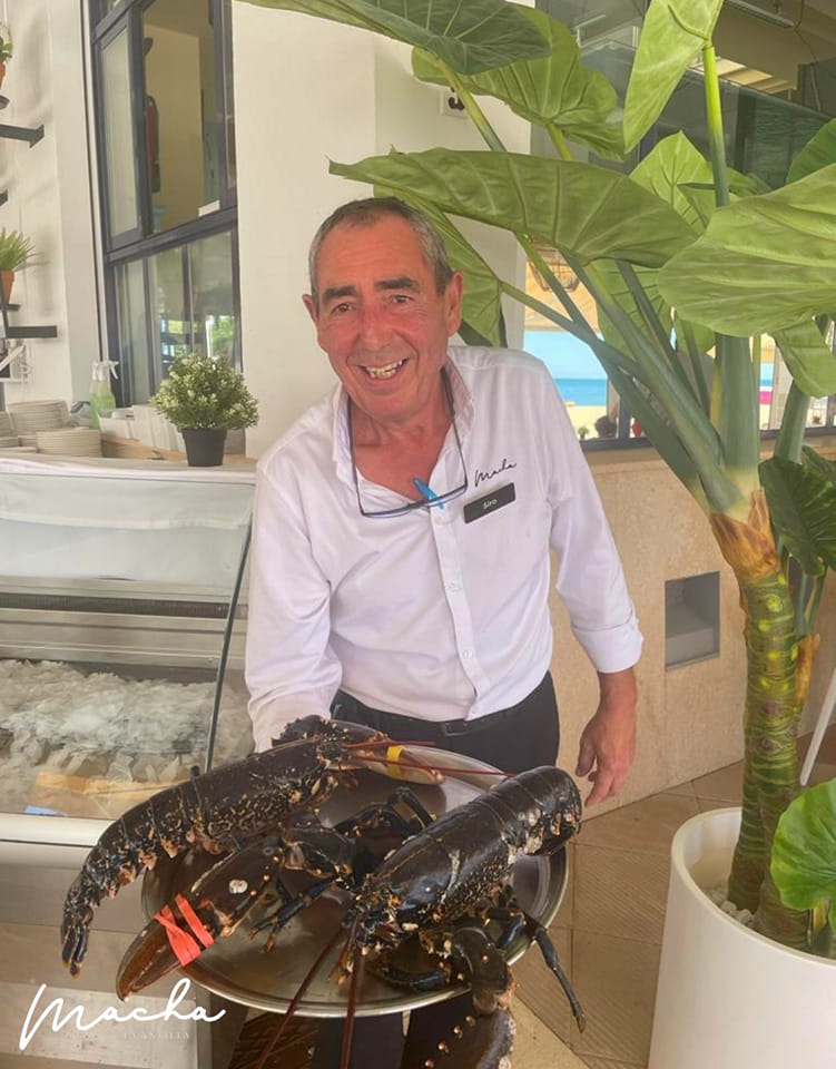 Galería en miniatura