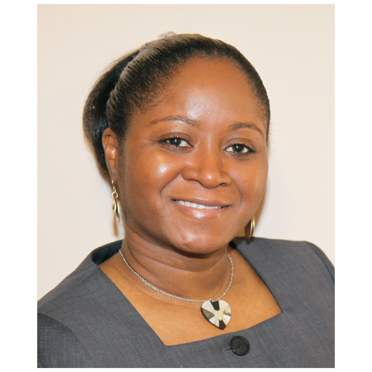 Hasana Nestor - State Farm Insurance Agent Logo