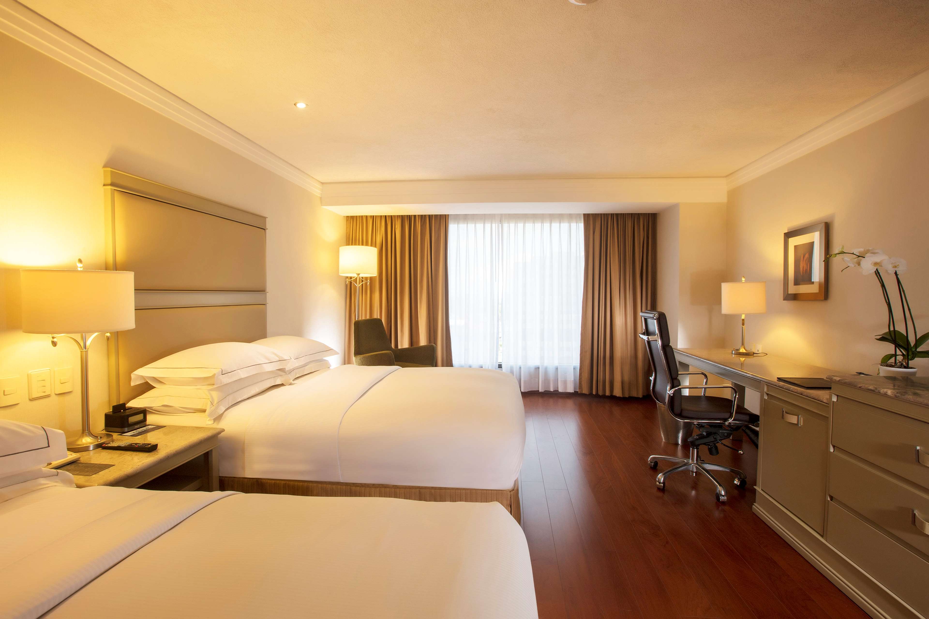 Images Hilton Guadalajara