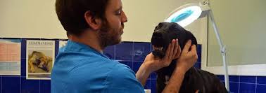 Images CLÍNICA VETERINÀRIA REUS