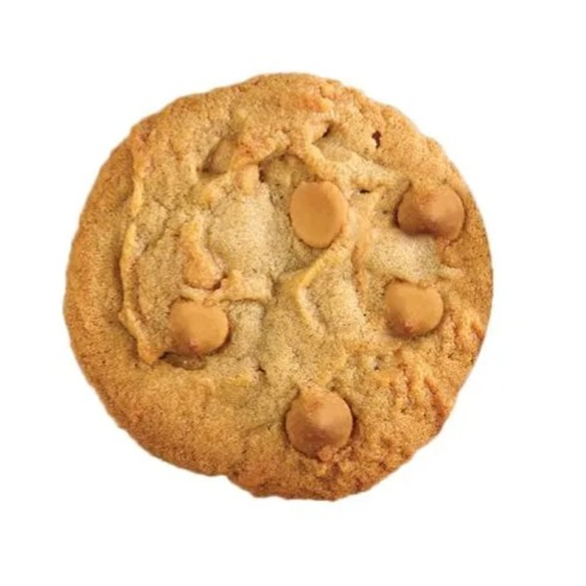Peanut Butter Cookie